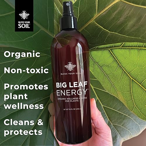 Miniatura 3 de Paquete de cuidado de plantas de higuera de hoja de violín