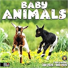 RED EMBER Baby Animals 2026 Wall Calendar 12 Month | 12” x 24” Open | Thick & Sturdy Paper | Holiday Gift | Wild Cute Kids Baby Animals Calendar 2026