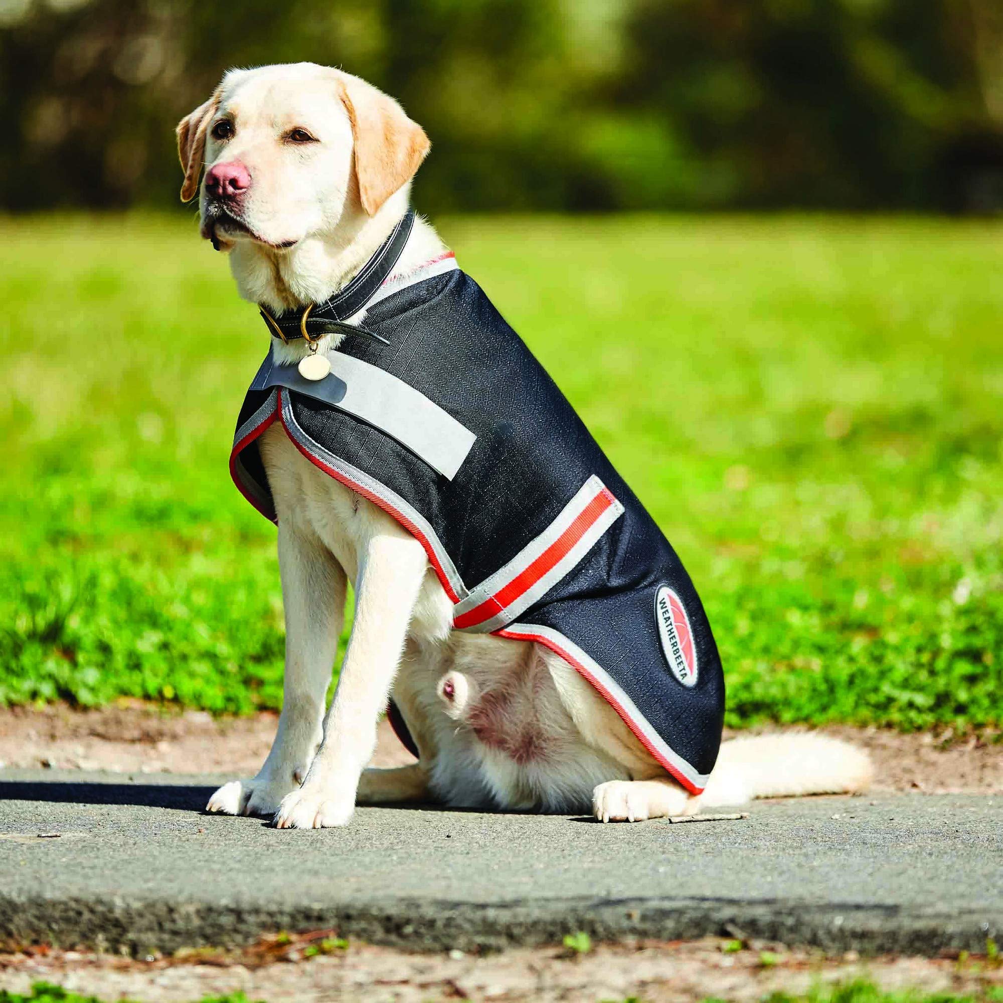 WeatherBeeta ComFiTec 1200D Therapy-Tec Dog Coat, Black/Silver/Red, 25cm - Image 3