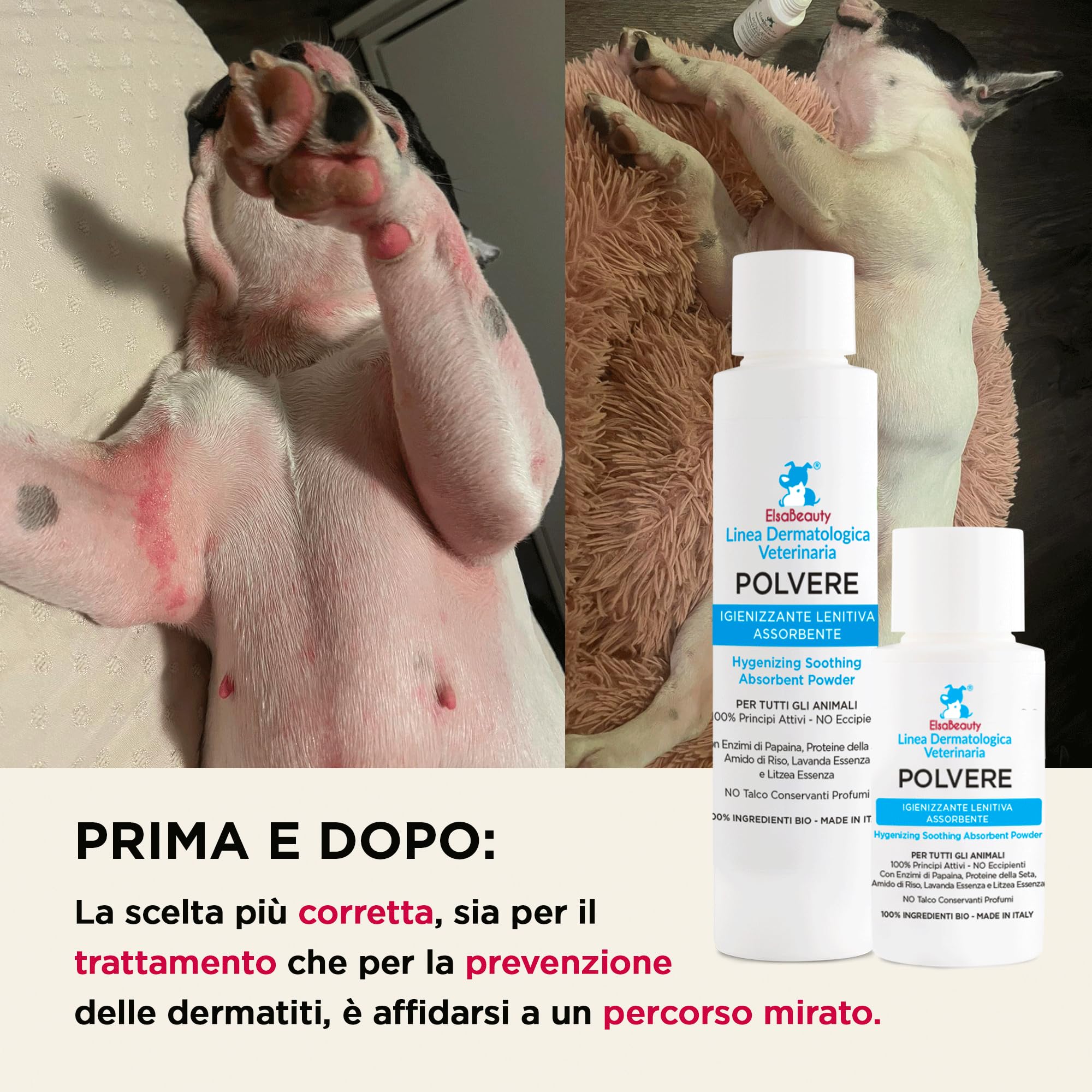 Polvere Igienizzante Lenitiva Assorbente per Cani e Gatti, Pieghe Cutanee, Prurito e Hot Spot (20 g)