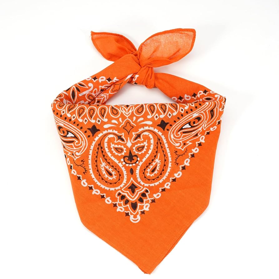 Amazon.com: Ardorchid Fall Orange Bandana Headband Autumn