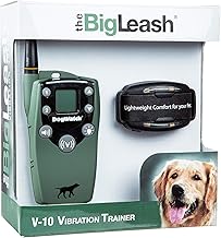 Dog watch shock collar Clearance