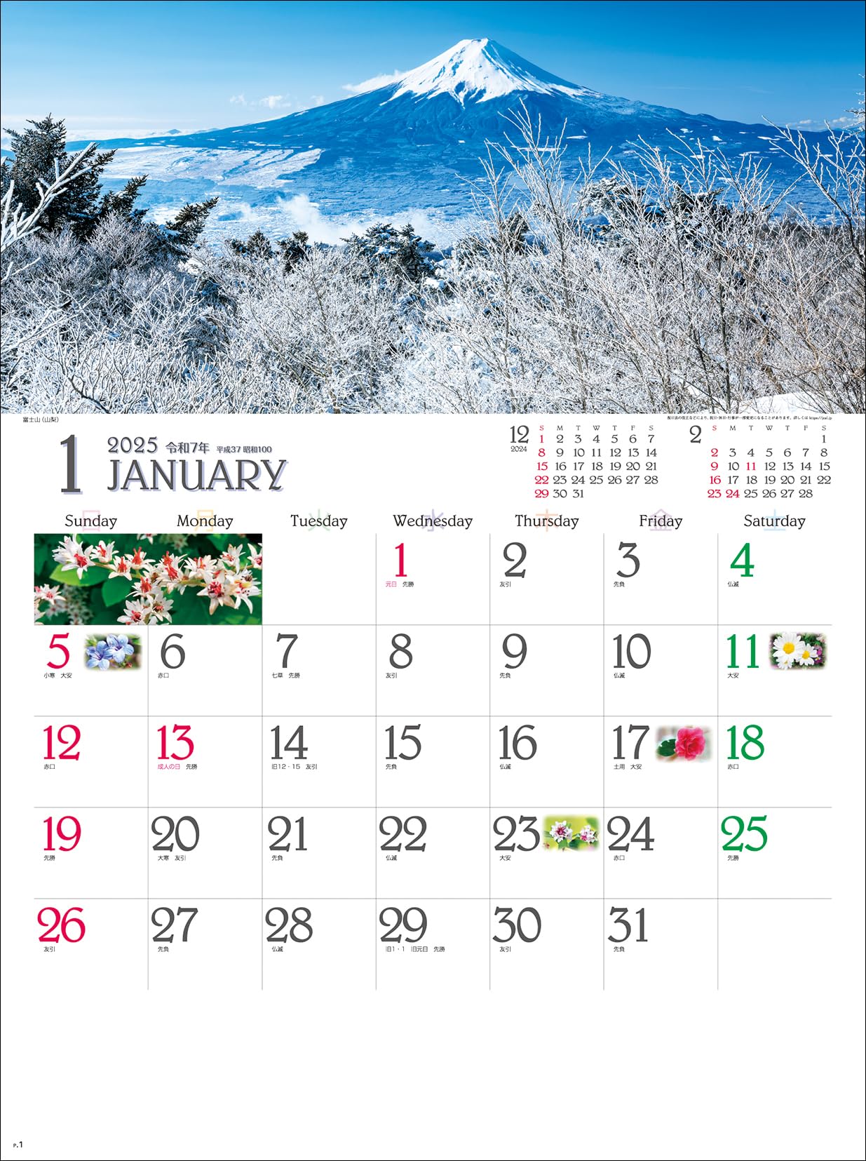 Amazon | SG290 四季彩花 壁掛けカレンダー 2025年 | カレンダー