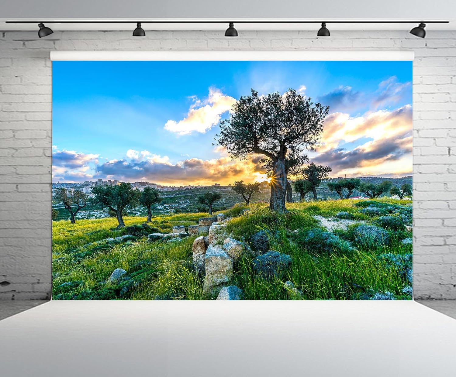 CHNYWORK 236x118 Inches Olive Grove Tapestry Wall Hanging Spring Bethlehem Shepherds Field Sunset View Sunlight Though Olive Tree Background for Living Room Bedroom Aesthetic College Dorm Wall Decor