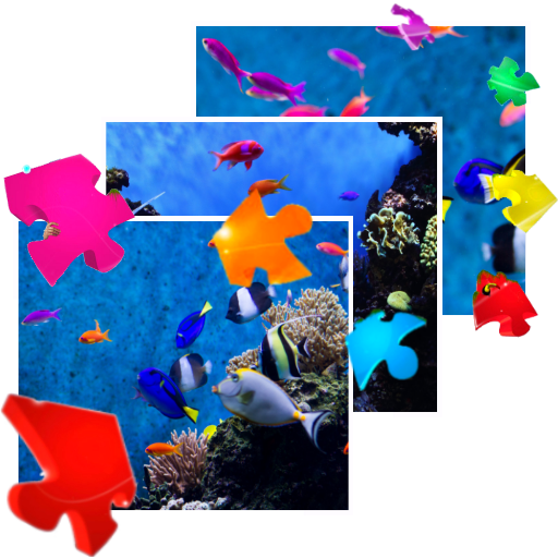 Aquarium Live Pro App on Amazon Appstore