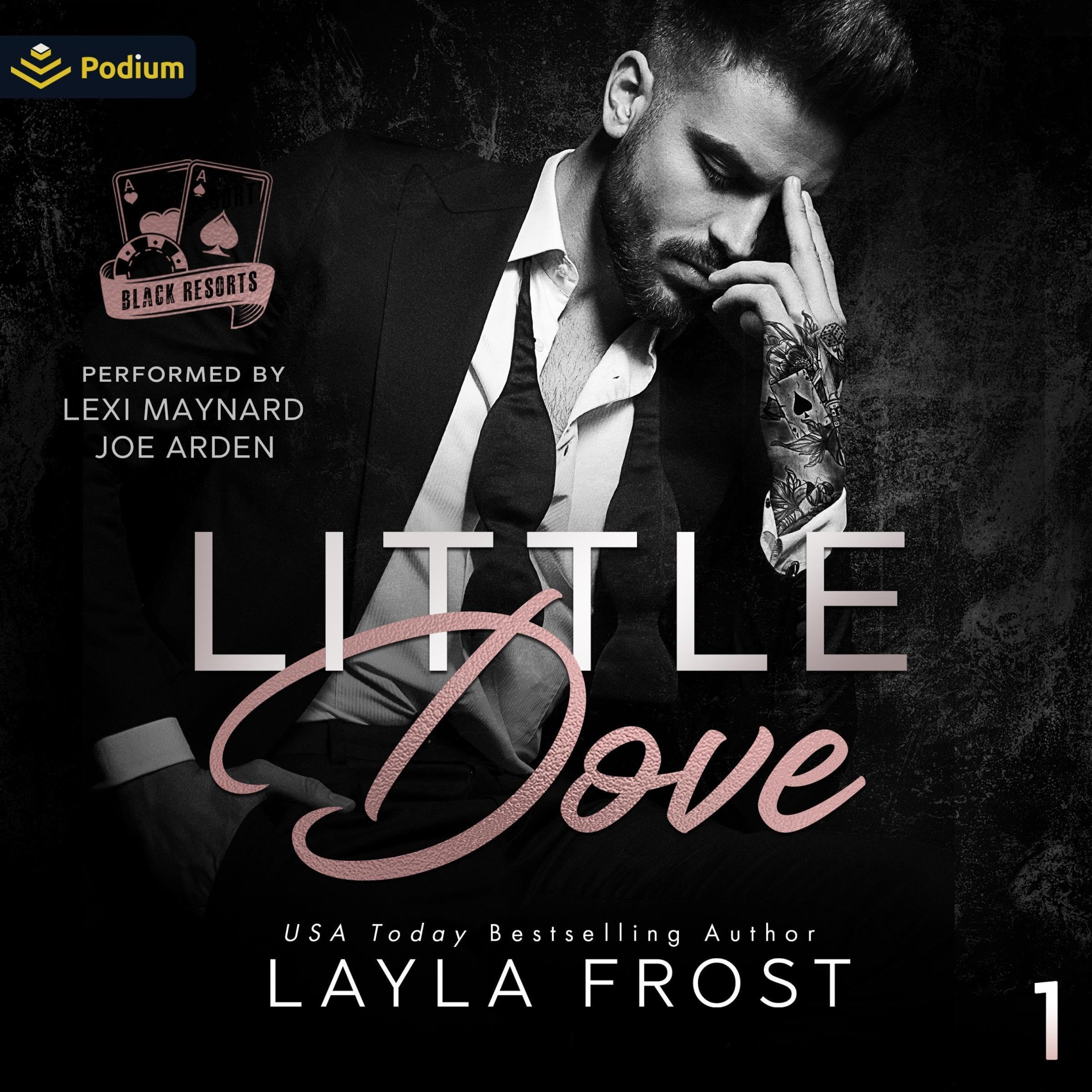 Cover art for Little Dove