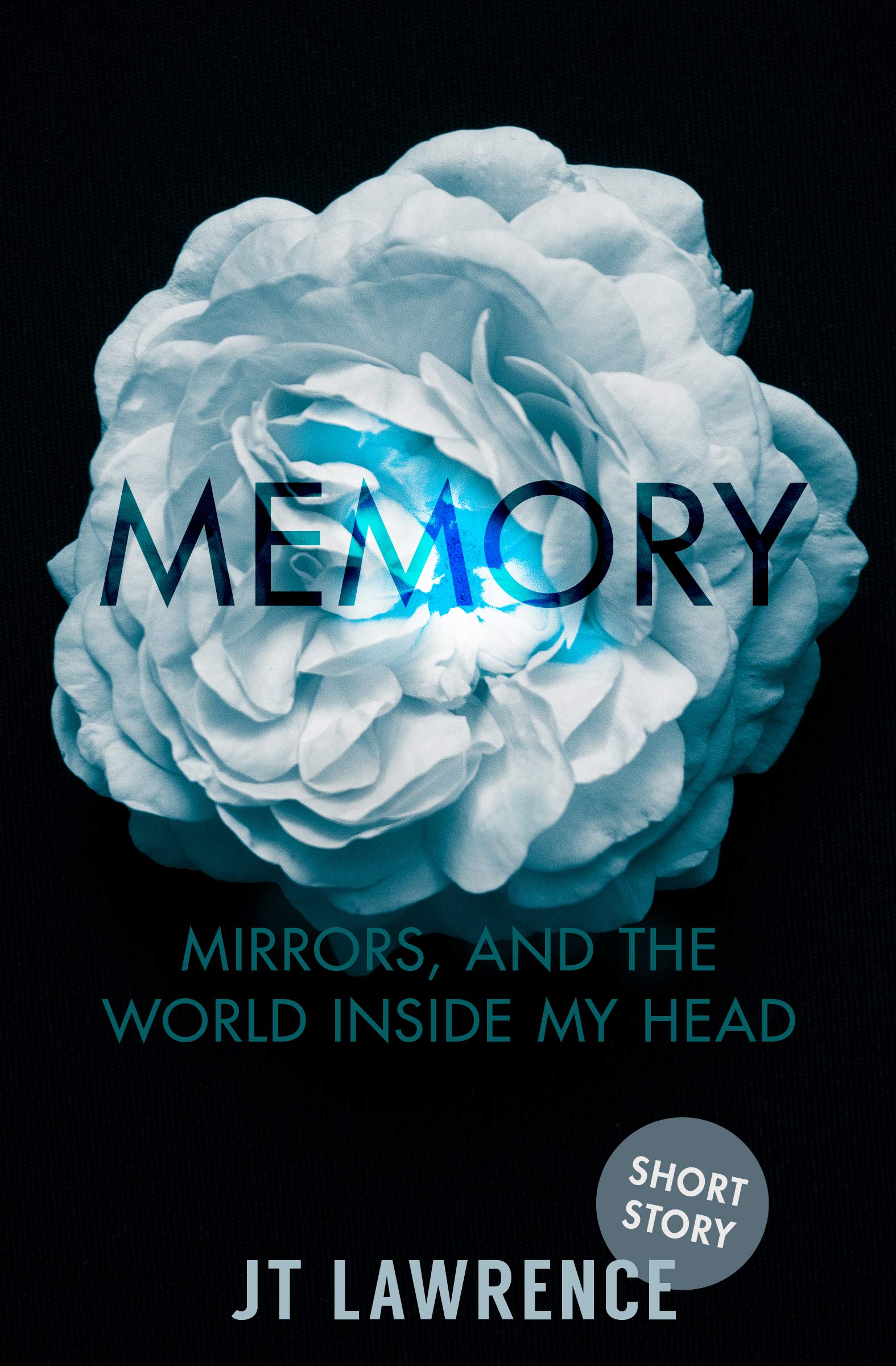 Cover of Memory, Mirrors, and the World Inside My Head