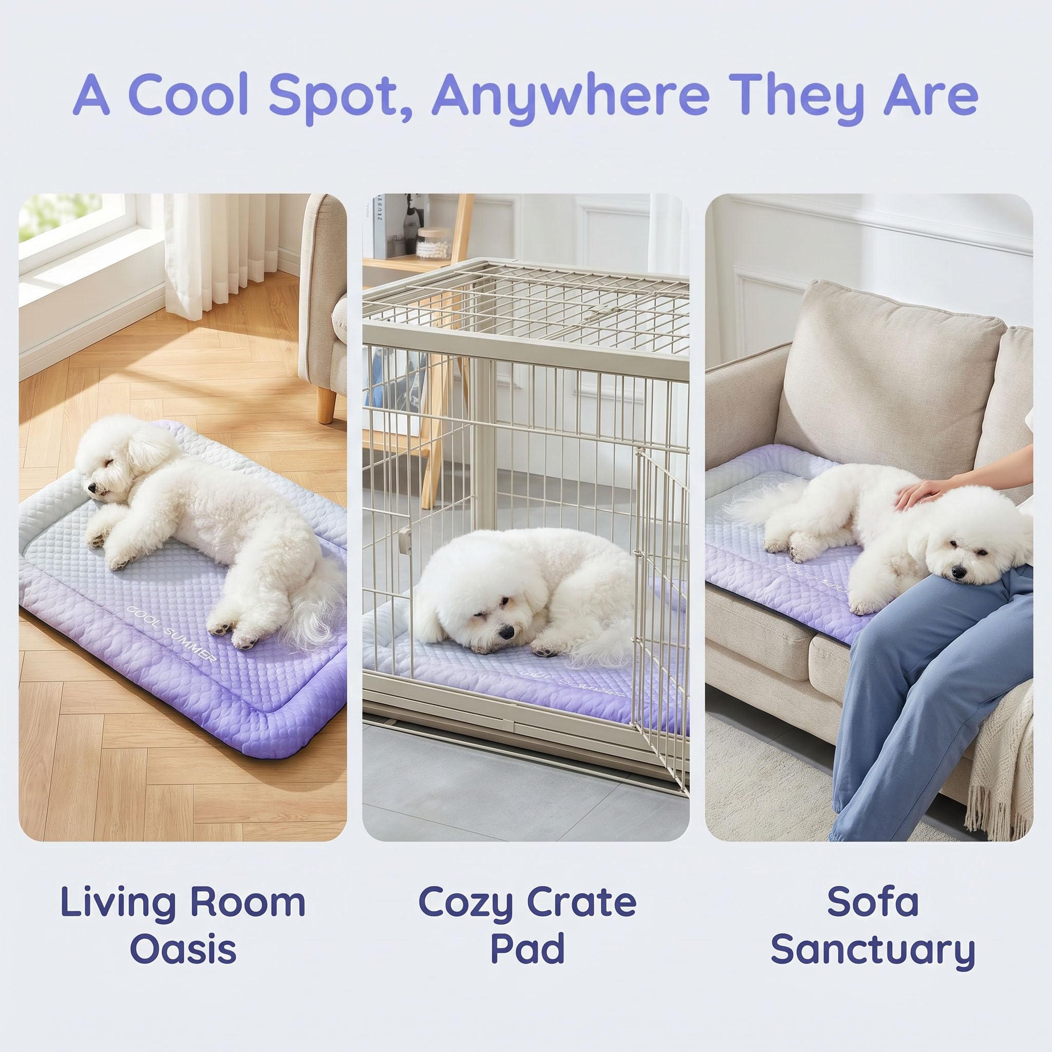 View 7