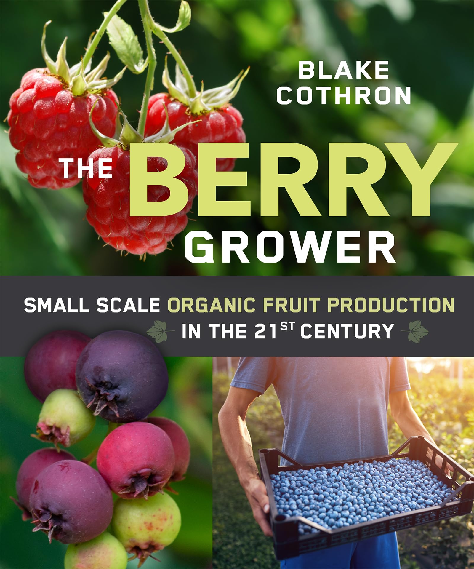 Buy The Berry Grower: Small Scale Organic Fruit Production in the 21st Century — BookShops.in