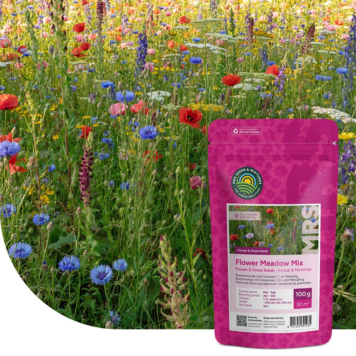 MRS Prairie de fleurs sauvages avec graminées - 250 g pour 75 m² - Graines annuelles et vivaces - 60% d’herbes et 40% de fleurs - Attire abeilles, papillons et autres pollinisateurs