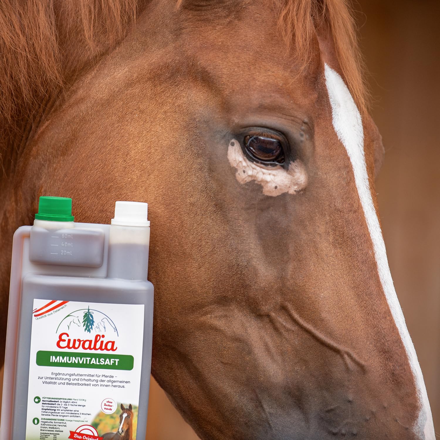 NEU! EWALIA Immunvitalsaft - Stärkendes Ergänzungsfuttermittel für Pferde, Förderung des allgemeinen Wohlbefindens, Natürliche Vitalitäts- und Resilienzunterstützung, 100% Natur pur, 1 Liter