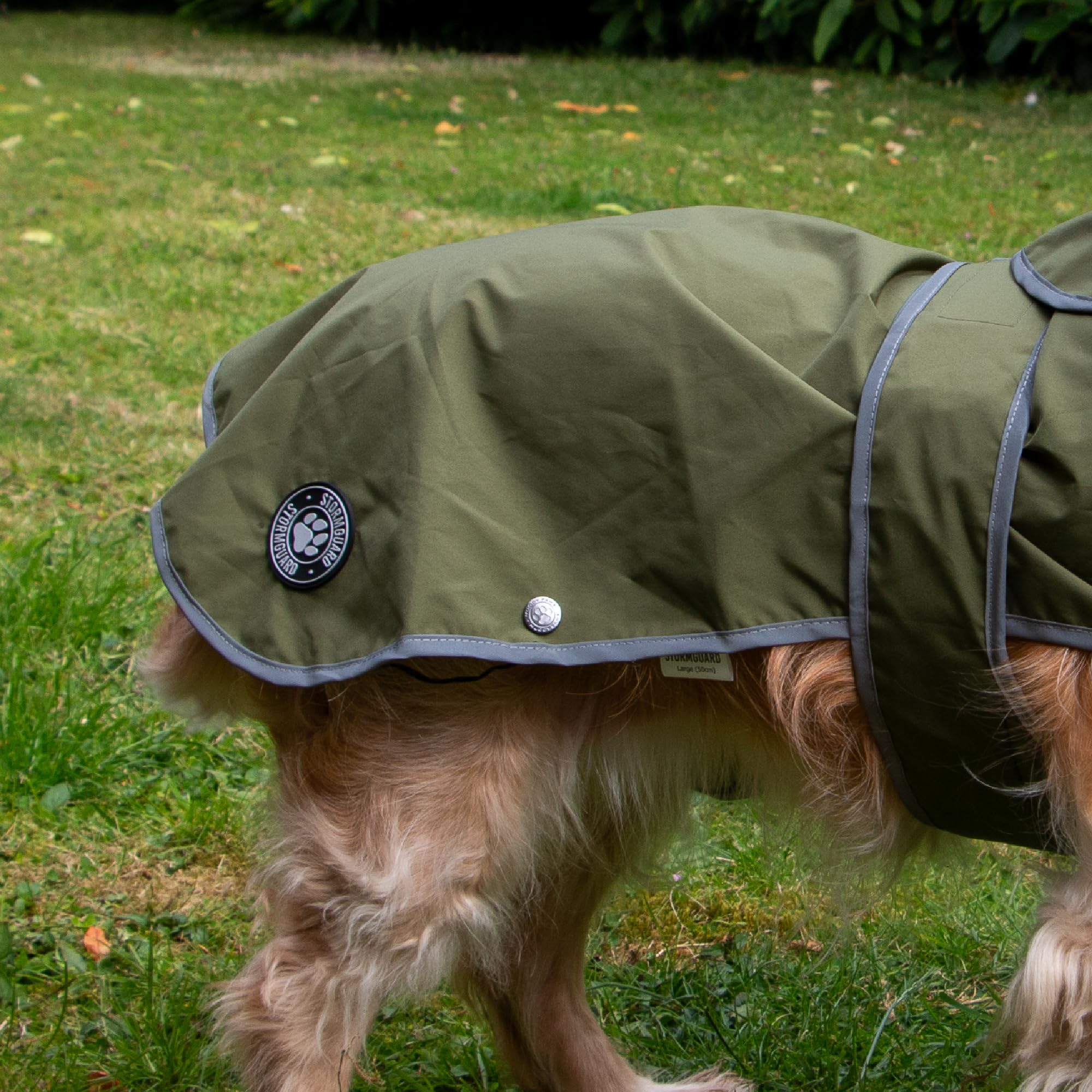 Ancol Stormguard Soft Shell Dog Coat in Khaki, Waterproof Pet Rain Jacket with Zipped Harness Hole - Image 3
