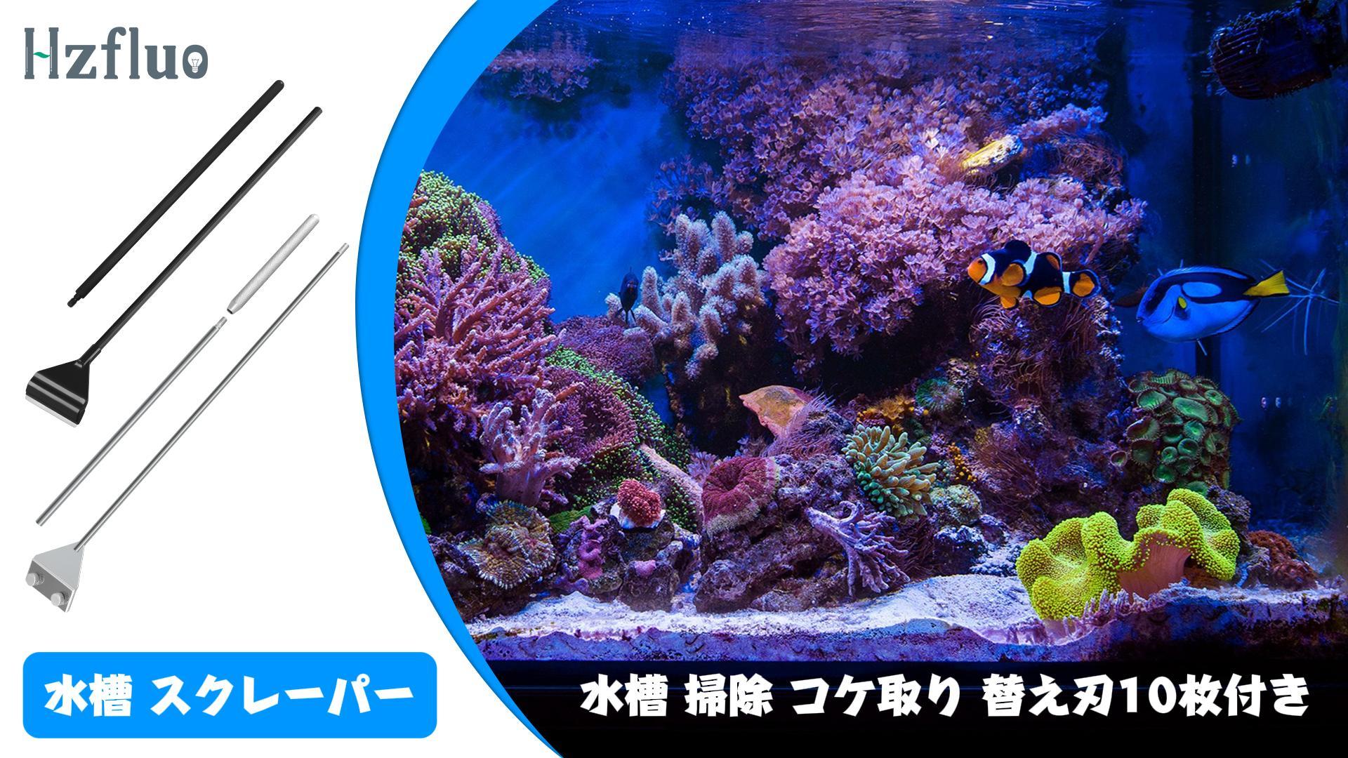 Amazon | Hzfluo 水槽 スクレーパー 水槽 掃除 プロレイザー 水槽 コケ