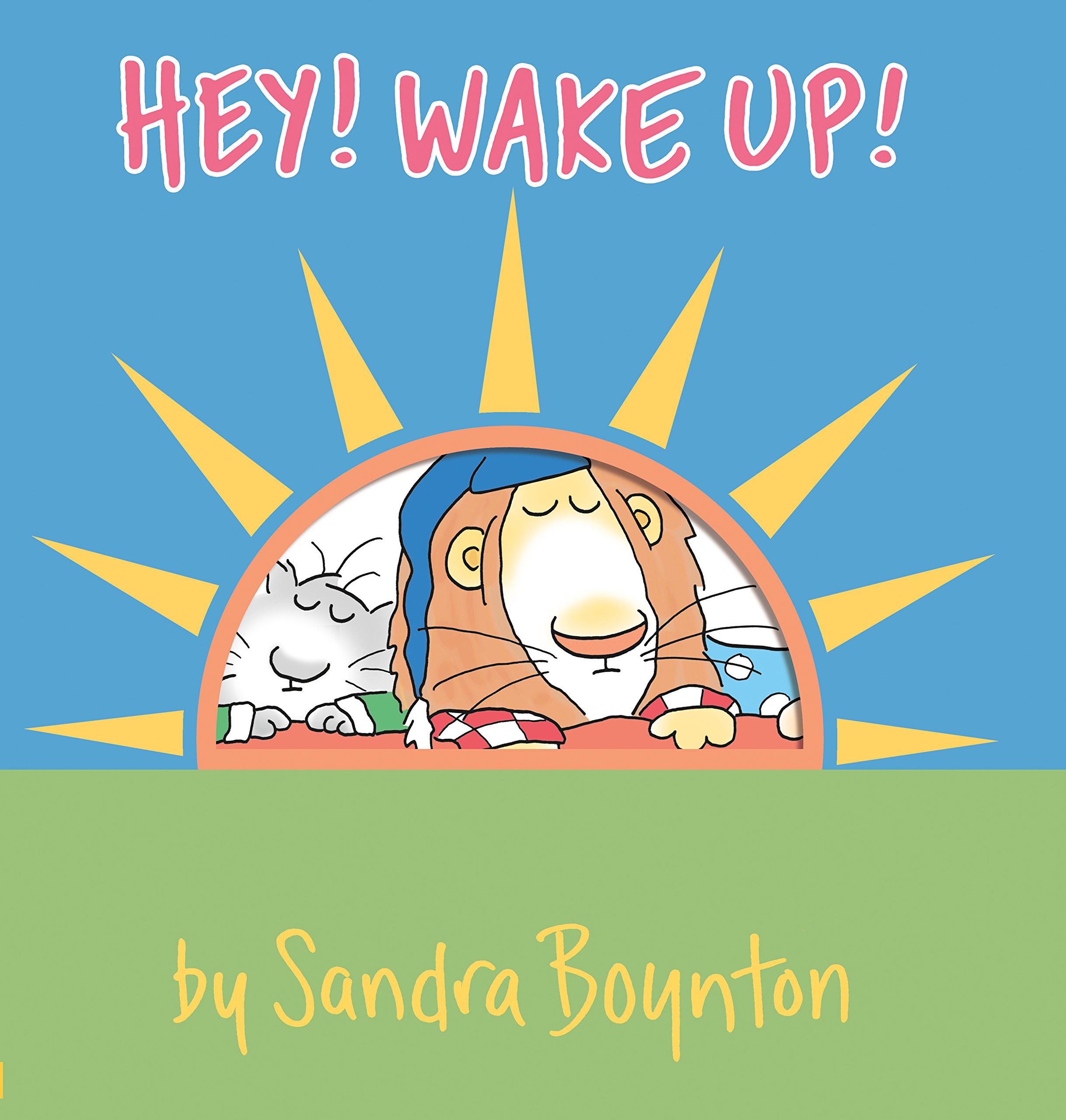 Hey Wake Up (Boynton on Board)