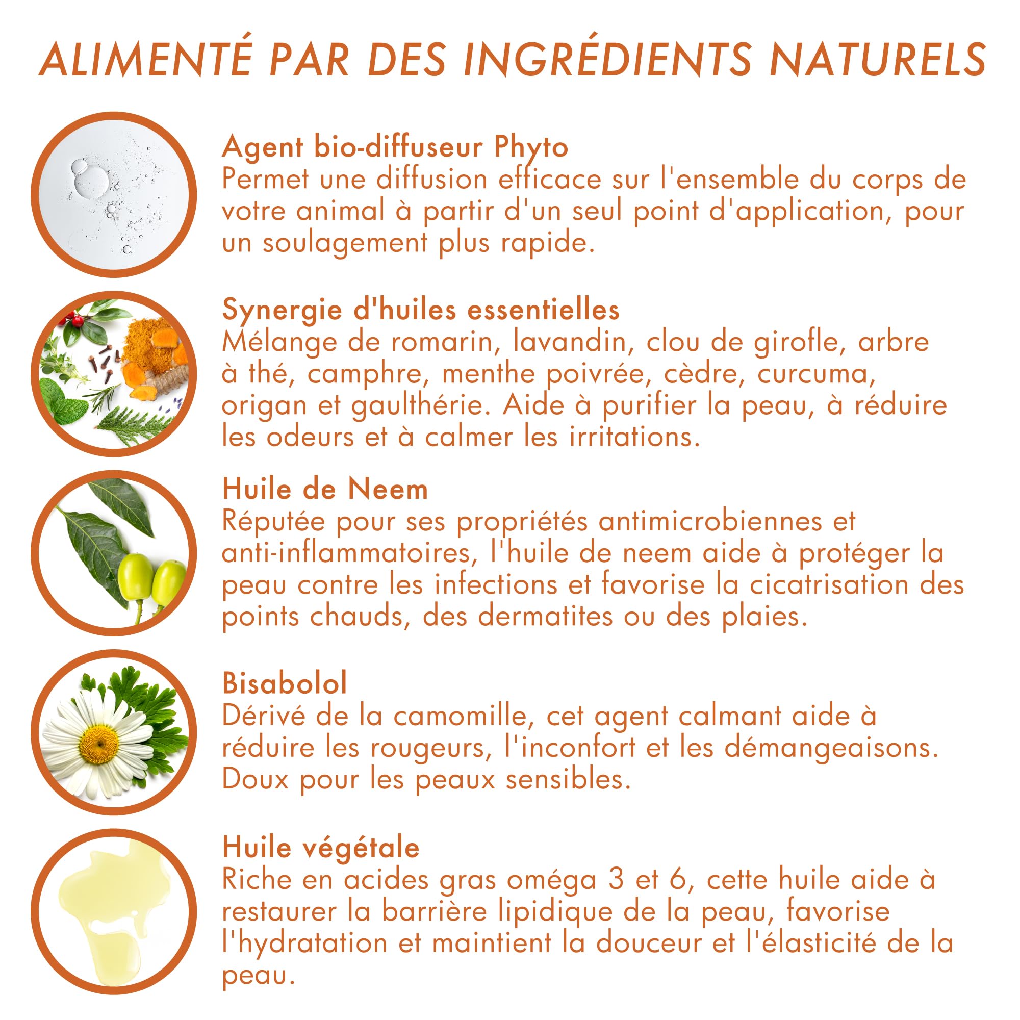 Dermoscent Essential 6 Spot-on pour Chien 20–40 kg | Soin Cutané Multifonctionnel Naturel | 4 Pipettes x 2,4 ML