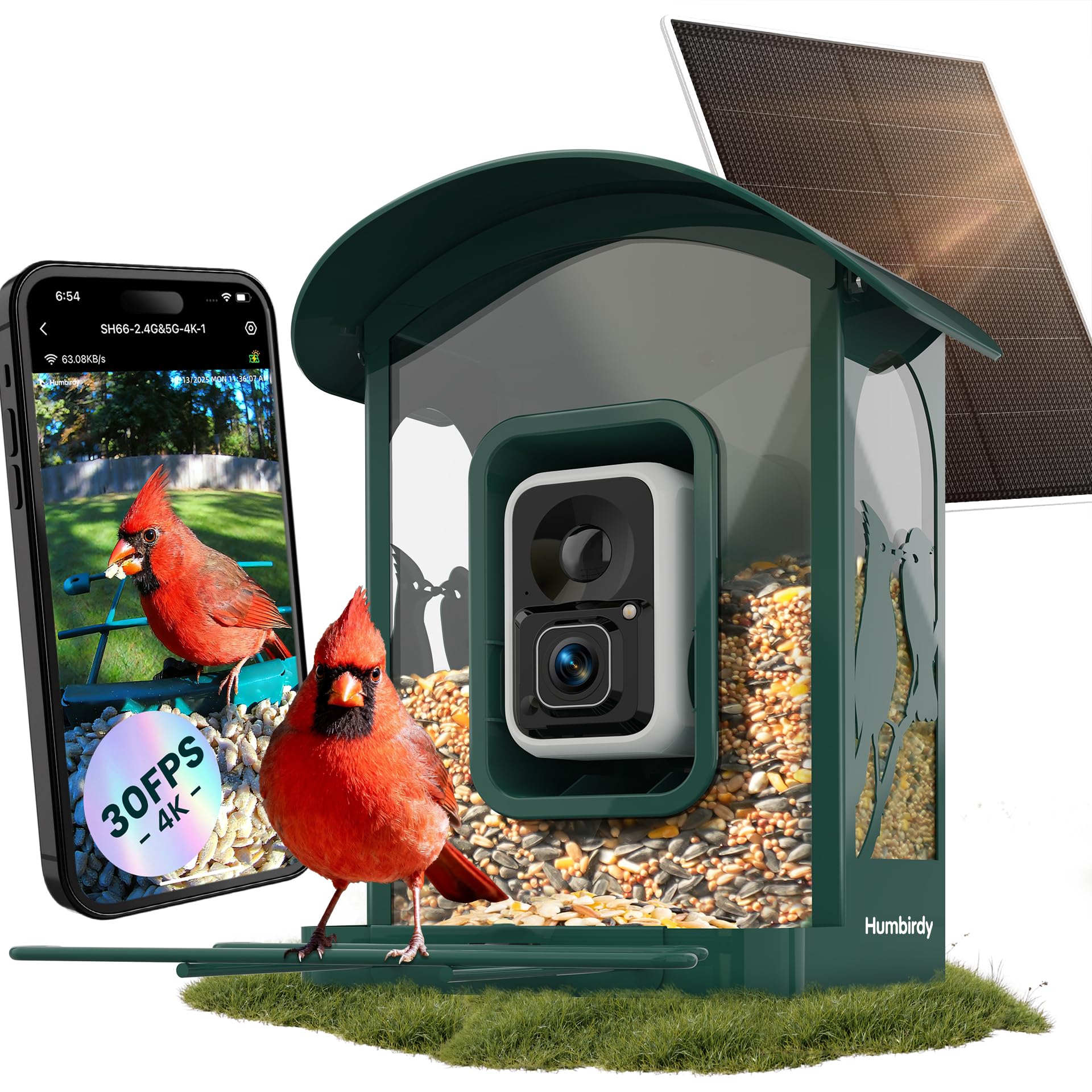 Humbirdy 4K Ultra HD Bird Feeder