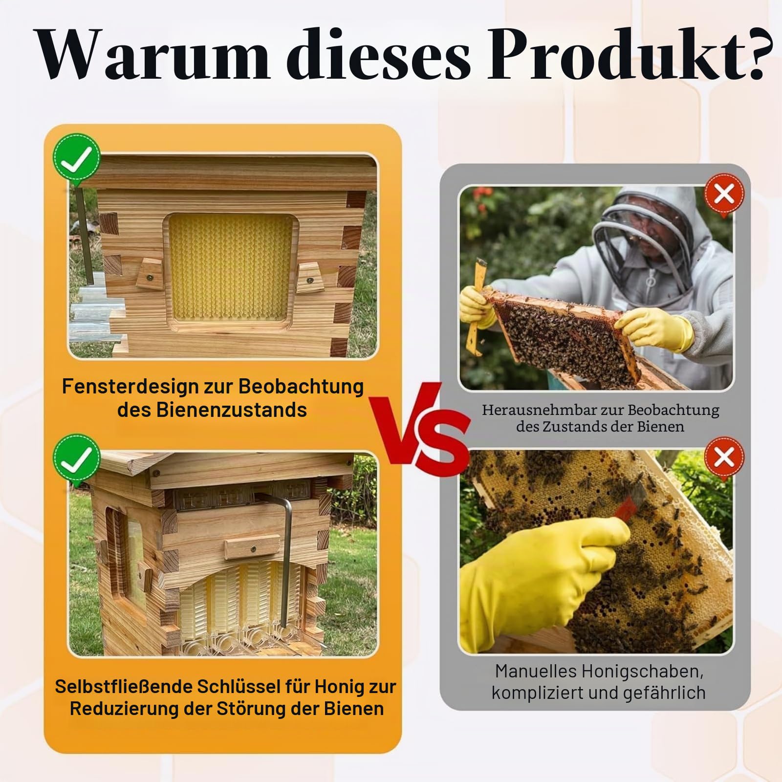 Beehive Starter-Set für Bienen mit Beobachtungsfenster und Honigtülle, inklusive Bienenhaus für Schreiner, Bestäuber im Garten