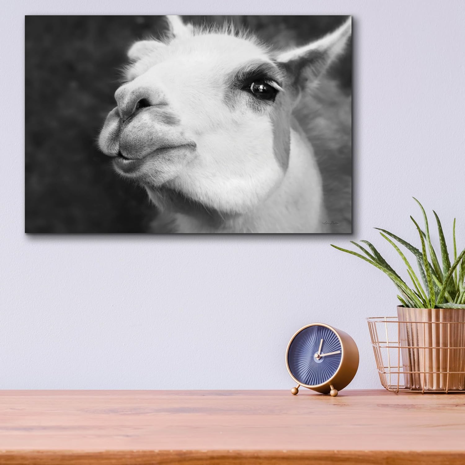 Epic Art 'Lake Tobias Alpaca' by Lori Deiter, Acrylic Glass Wall Art, 16"x12"
