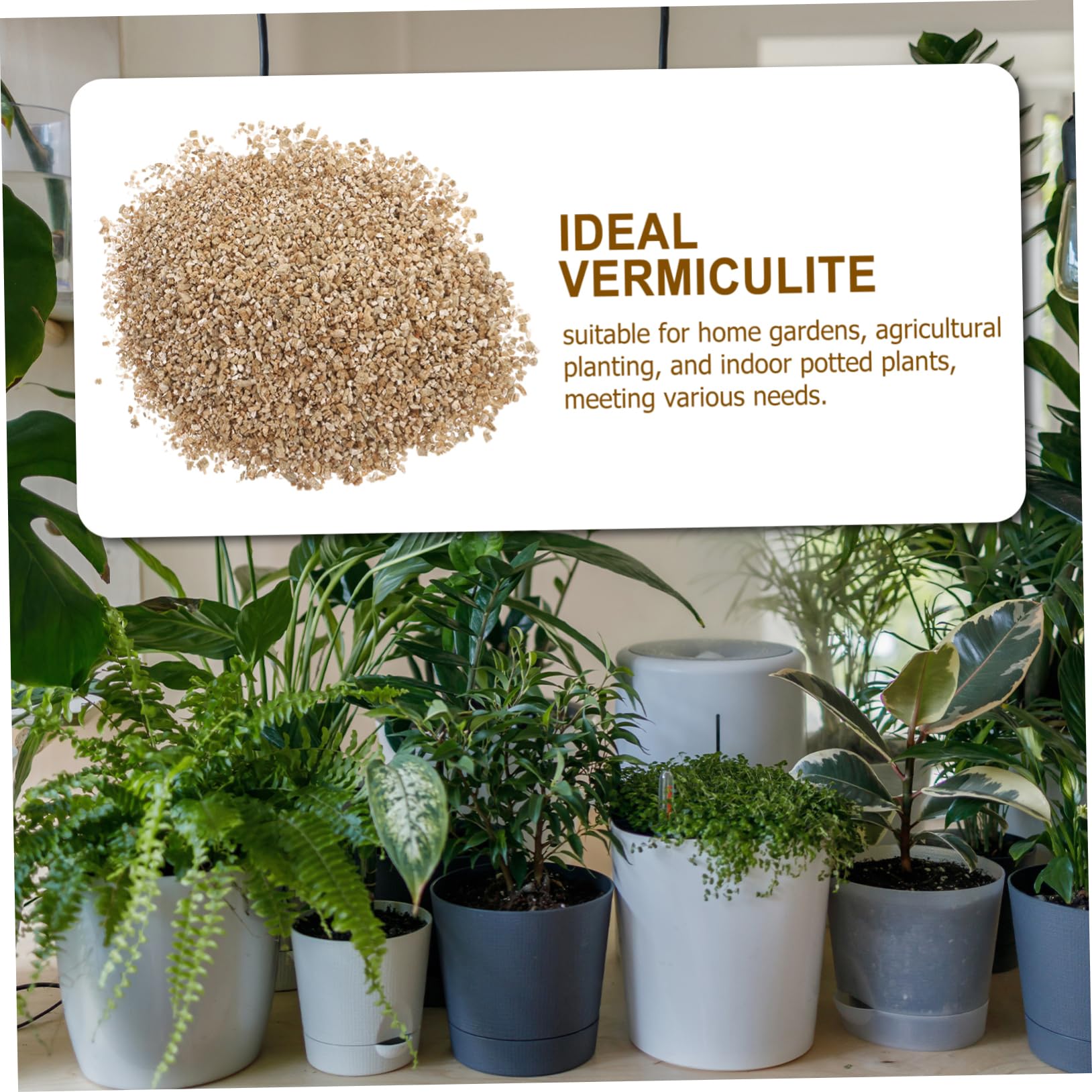 Vermiculite Horticole Fine 3l pour Jardinage et Croissance des Plantes | Rétention D’eau Élevée, Ph Neutre, Usage Maison pour Jardins et Pots D’intérieur