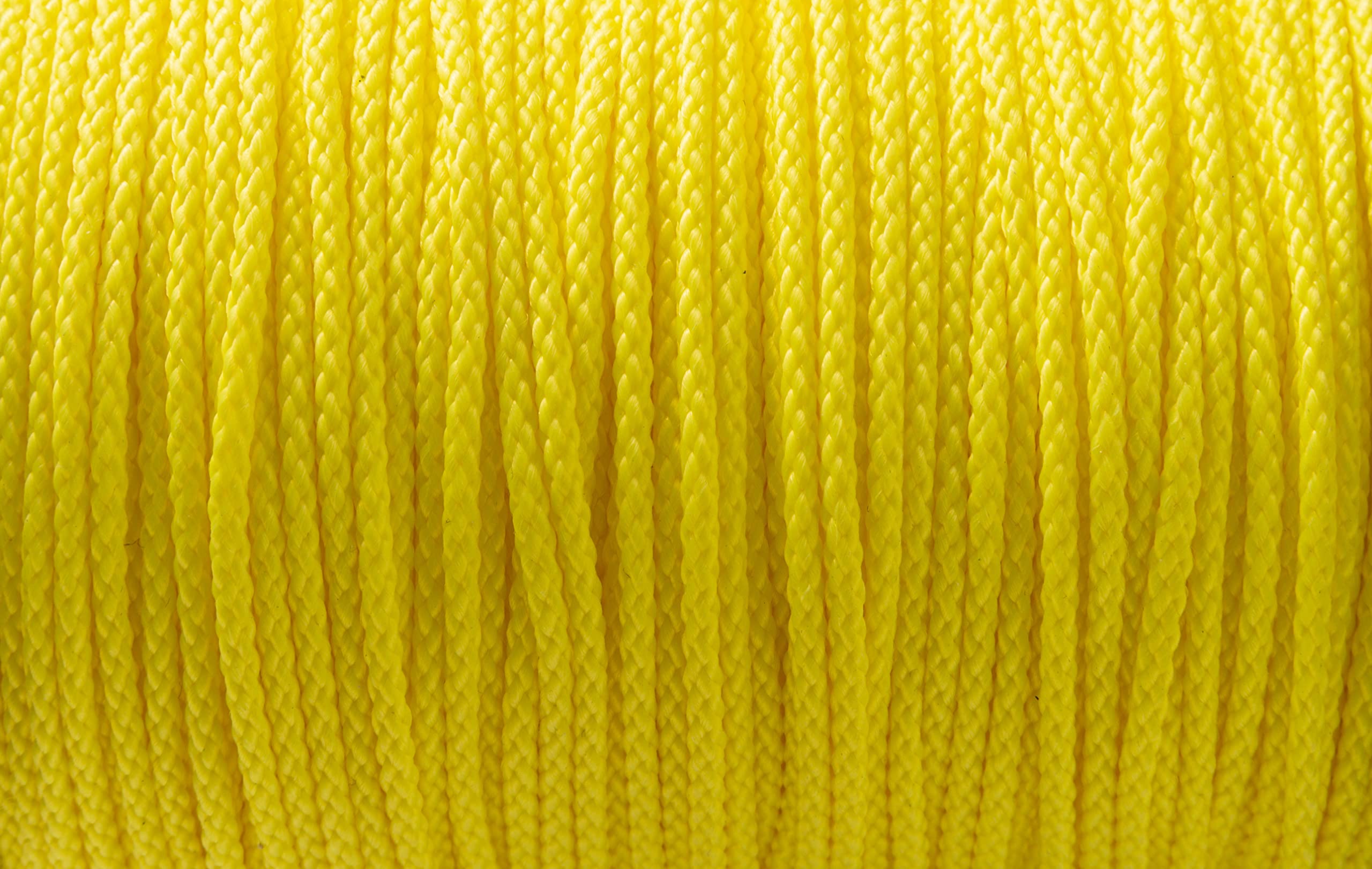 IPEA Filo per Edilizia Professionale con Impugnatura - Bobina da 100 Metri - Filo da Muratore in Polipropilene diametro 2 mm per Cantieri, Costruzioni, Lavori Stradali, Lavori in Casa