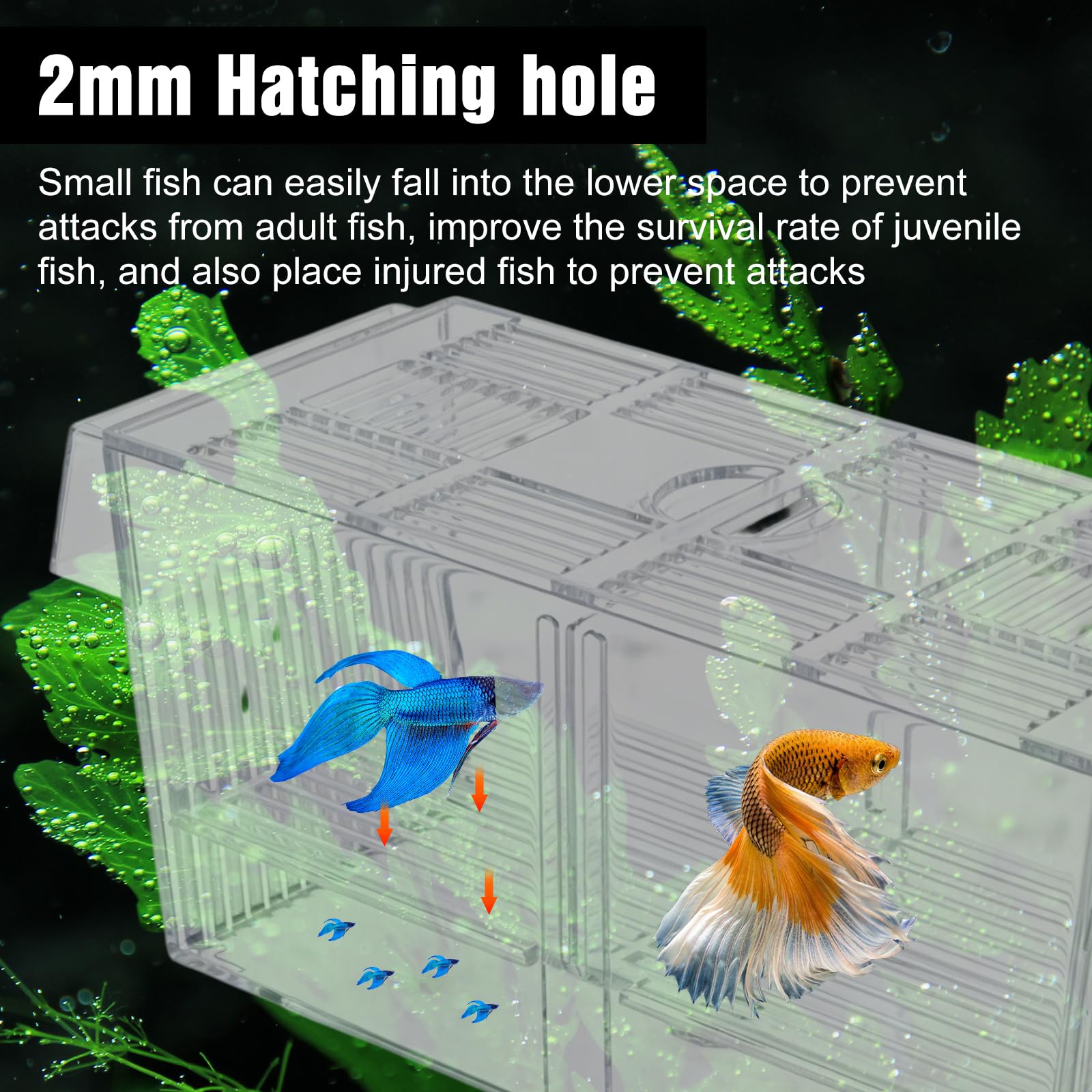 Caja de desove para acuario, grande, con red de sellado de peces, tanques de cultivo de acrílico para acuarios, diseño de dos cámaras, para peces bebés, camarones, Betta Guppy, peces payaso