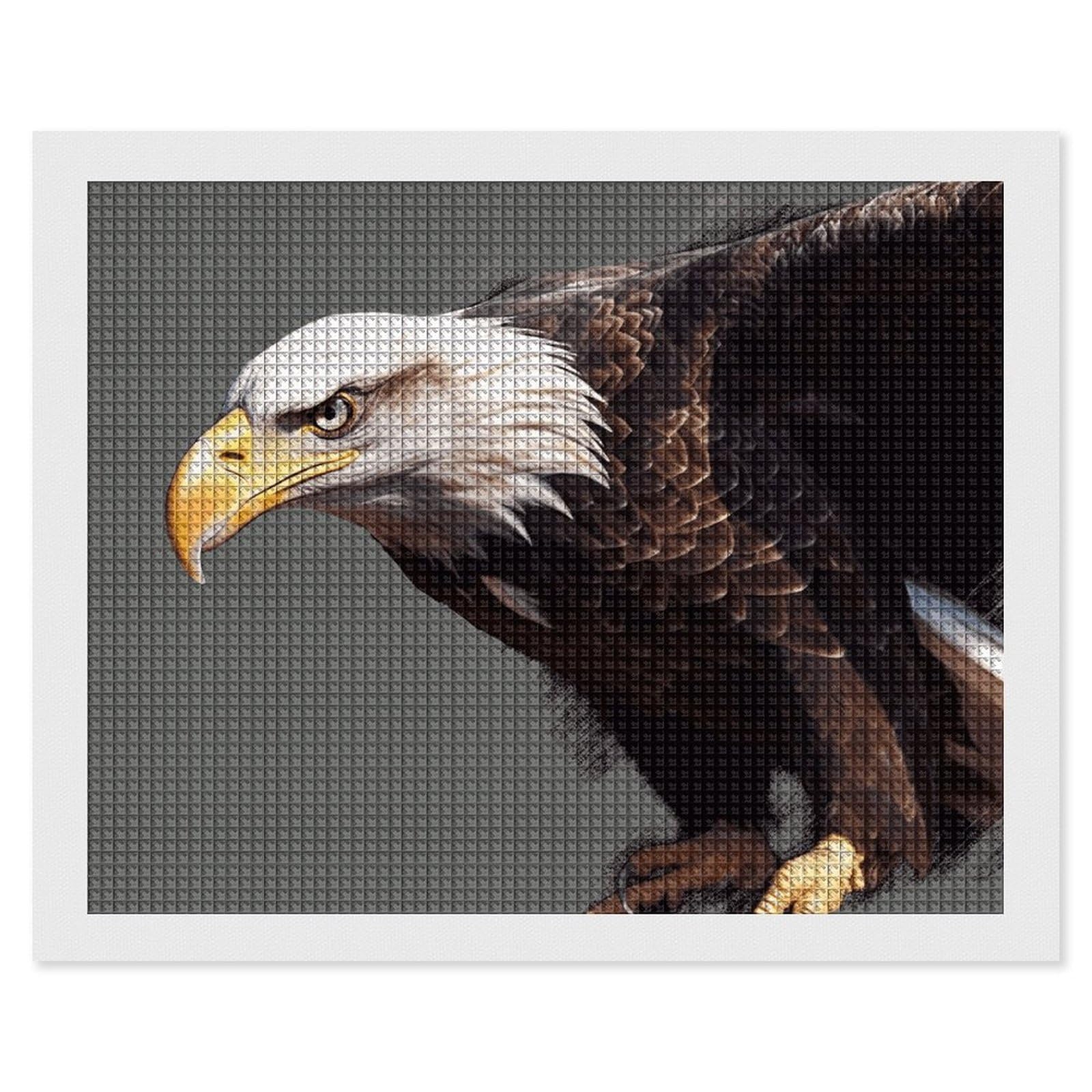NONHAI Diamond Painting Kits for Adults - DIY Diamond Art Kits for Beginners - Full 5D Paint Drill Diamond Dots Paintings- Eagle Diamonds Pictures Gem Art and Craft Wall Decor 16"x20"