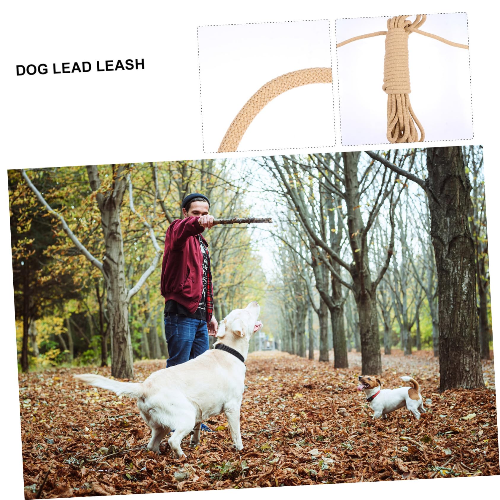 Abaodam Laisse Longue Corde de Mètres pour Chien Résistante et Confortable pour Promenades et Entraînements Extérieur