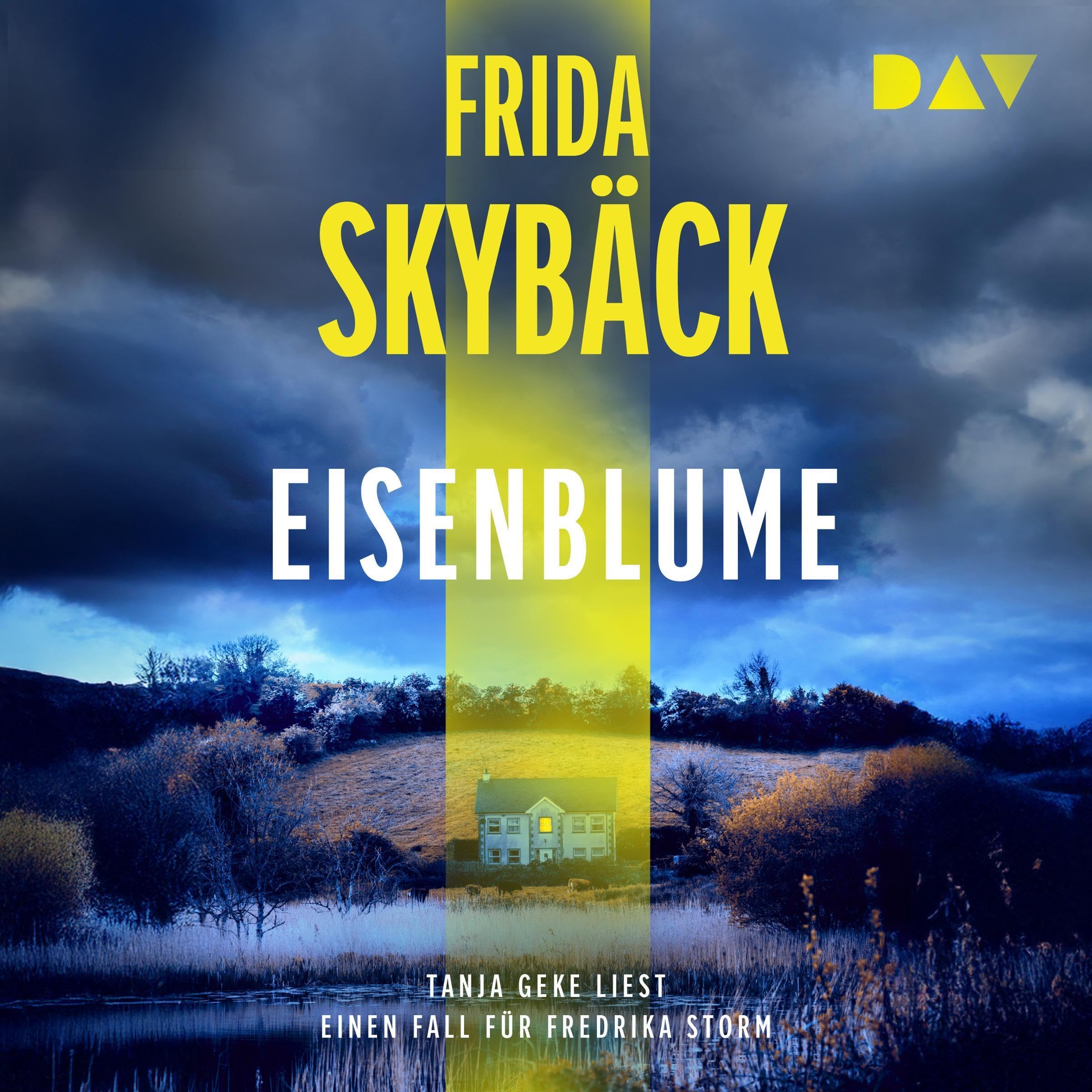 Eisenblume - Ein Fall für Fredrika Storm