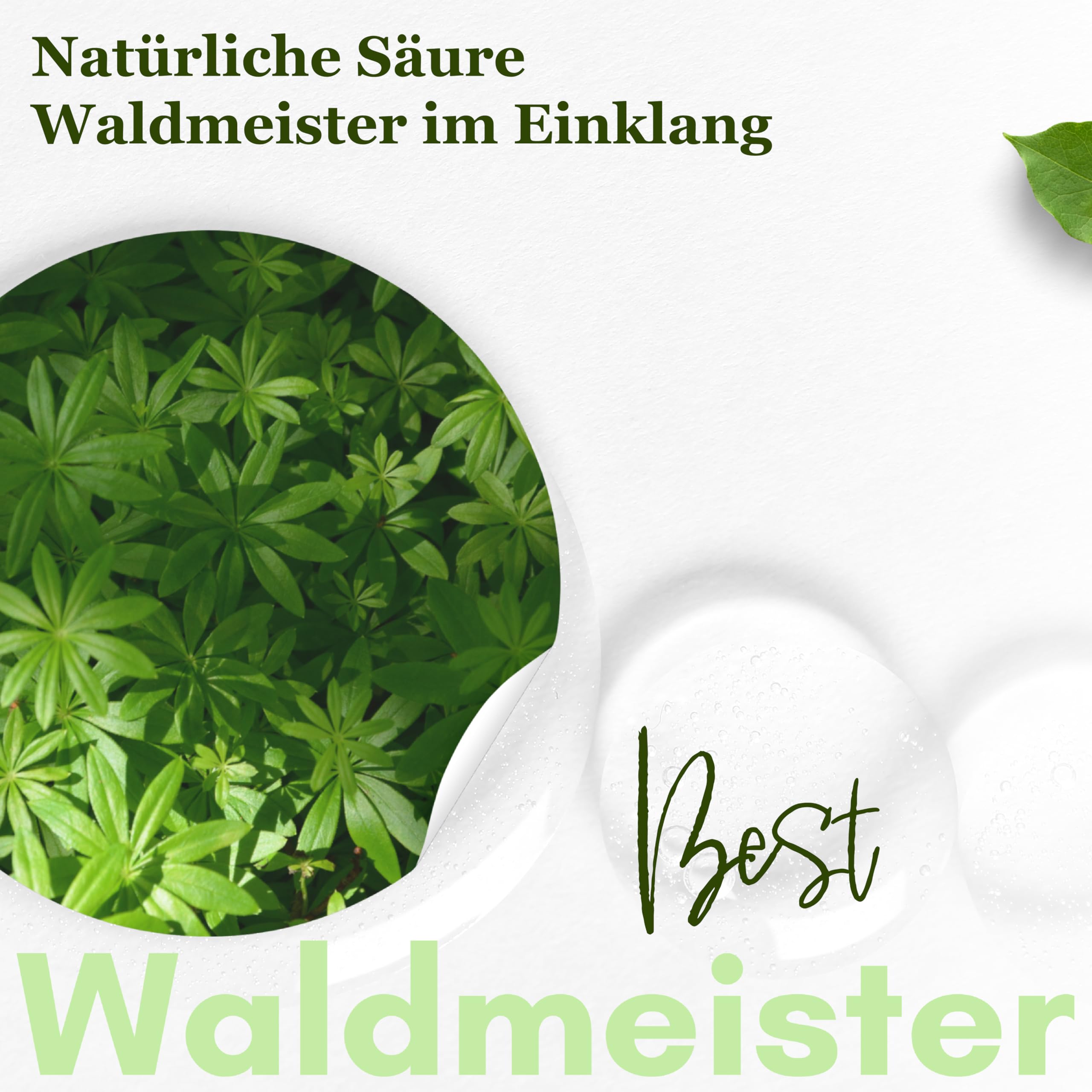 WILHELM Müller Waldmeister Bonbons in Blütenform - Retro Fruchtbonbons - Bonbons mit Waldmeister Geschmack - Im praktischen Beutel aus Deutschland - 2500g