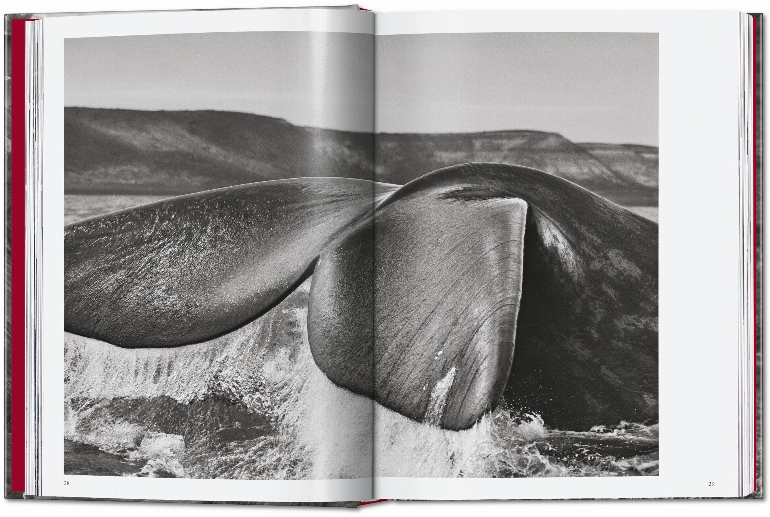 Sebastião Salgado: Genesis. 45th Ed.