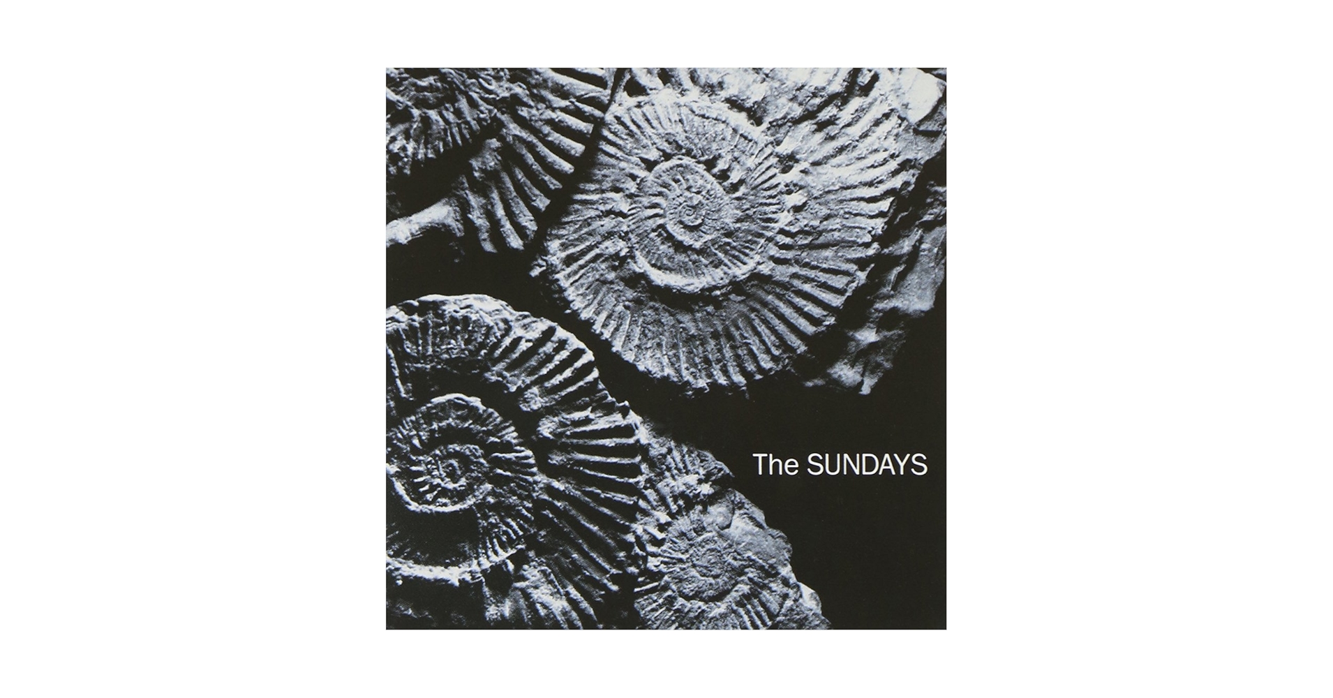 限定高音質盤 Sundays Reading Writing ... 新品送料込 限定高音質盤 Sundays Reading Writing  新品送料込 Amazon
