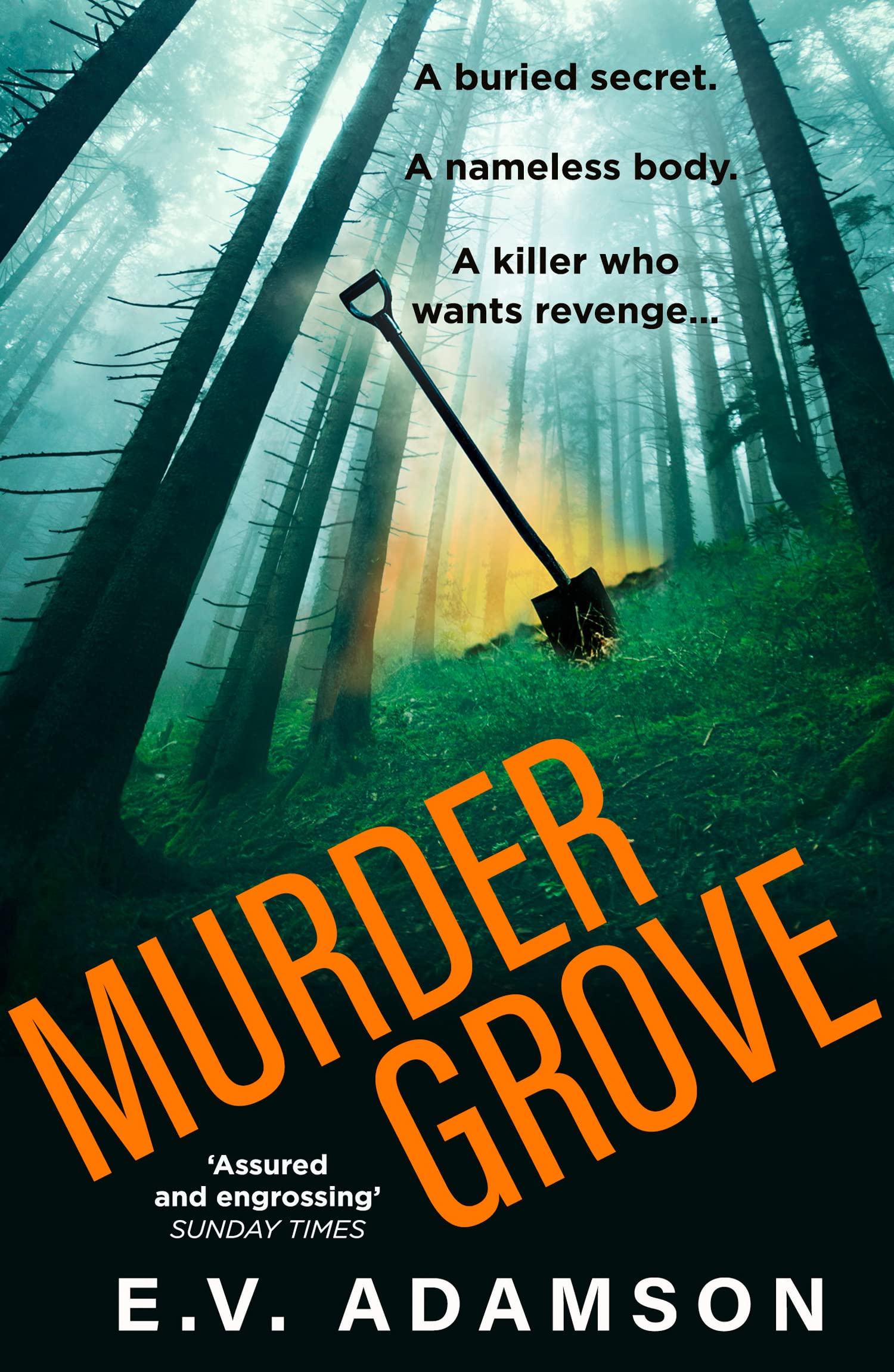 Murder Grove: a twisty, atmospheric new crime thriller that will keep you up all night