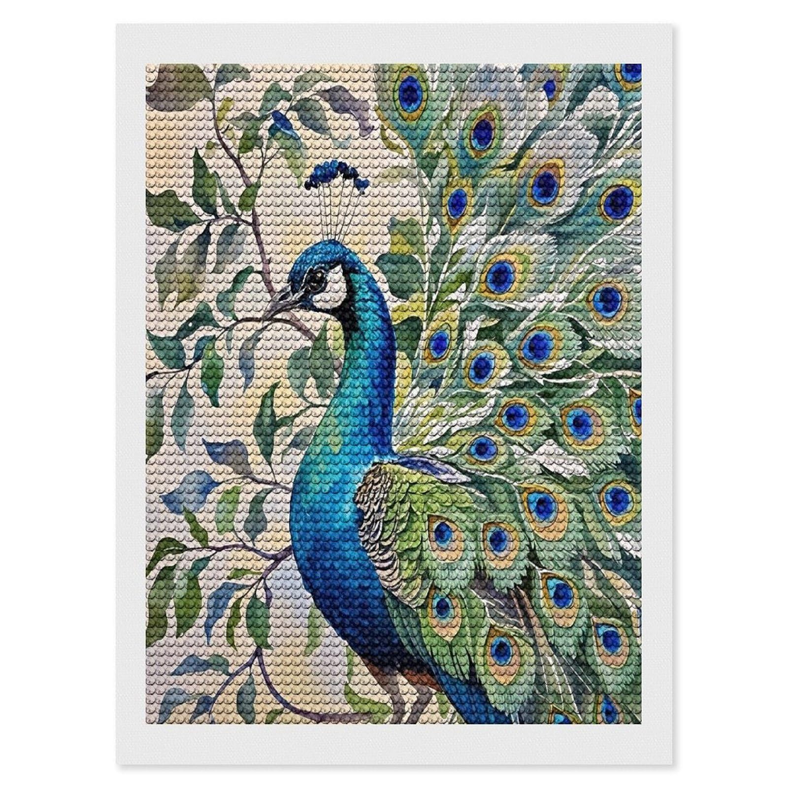 FekiLoot Peacock Watercolor Painting Diamond Painting Kits for Adults Round Paint with Diamonds Pictures Gem Art Painting Kits Personalized Diamond Art Full Drill for Beginners Home Wall Decor