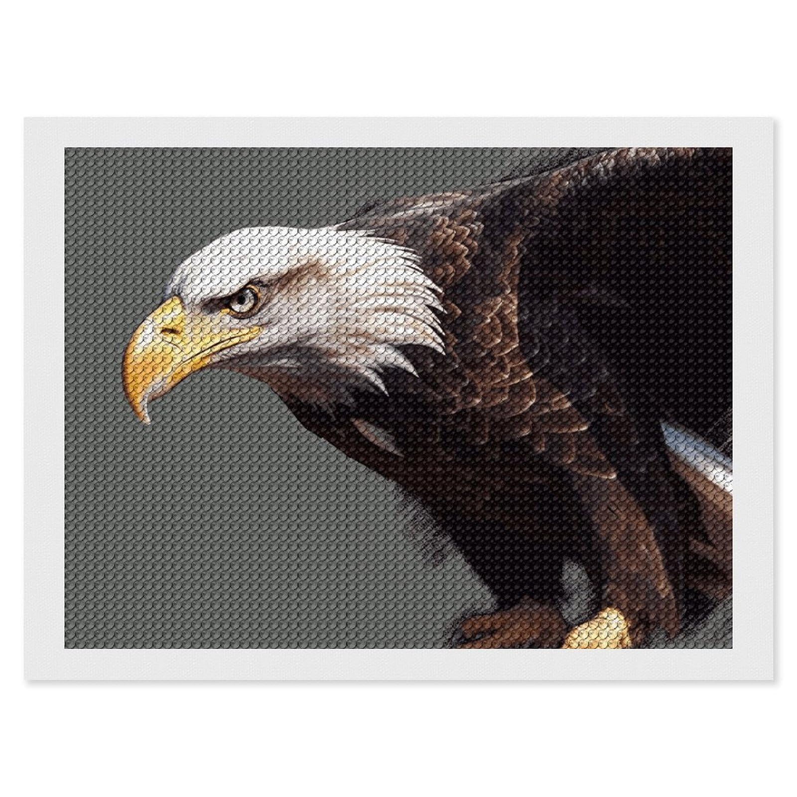NONHAI Diamond Painting Kits for Adults - DIY Diamond Art Kits for Beginners - Full 5D Paint Drill Diamond Dots Paintings- Eagle Diamonds Pictures Gem Art and Craft Wall Decor 12"x16"