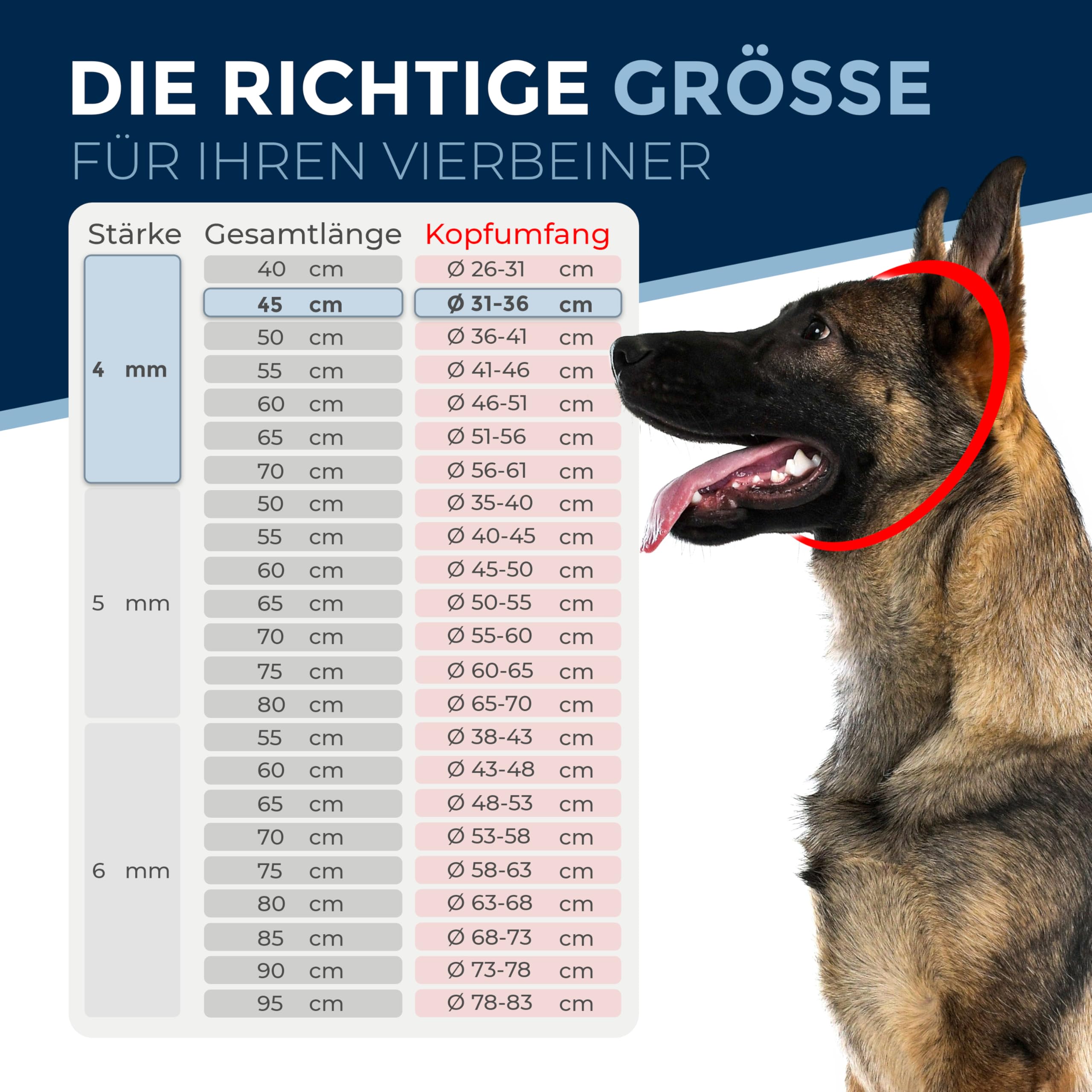 Collier de Dressage pour Chien en Acier Inoxydable – chaîne à maillons Courts, 4 mm, 45 cm, léger et Discret, Anti-Traction, entraînement