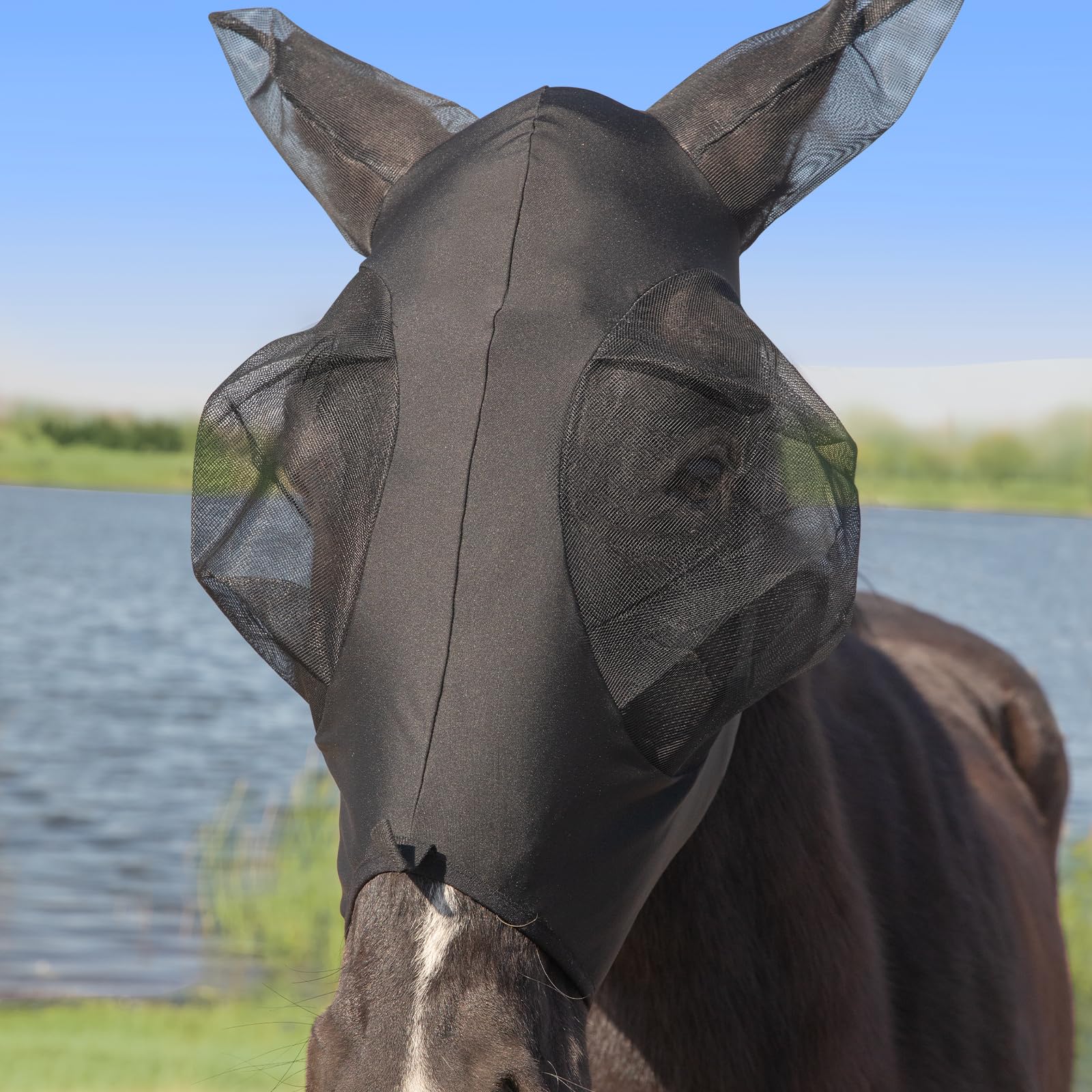 Masque anti-mouches pour cheval avec oreilles Menjo idéal pour le paddock et pré
