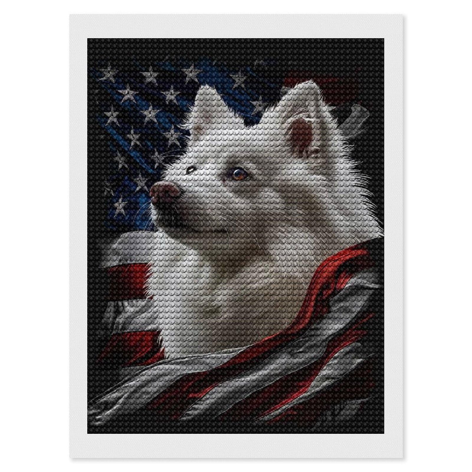 Junmoney American Eskimo America Diamond Painting Canvas Set 12"x16", Satisfying Creative Project, Easy to Follow Symbols, Fun Craft Experience