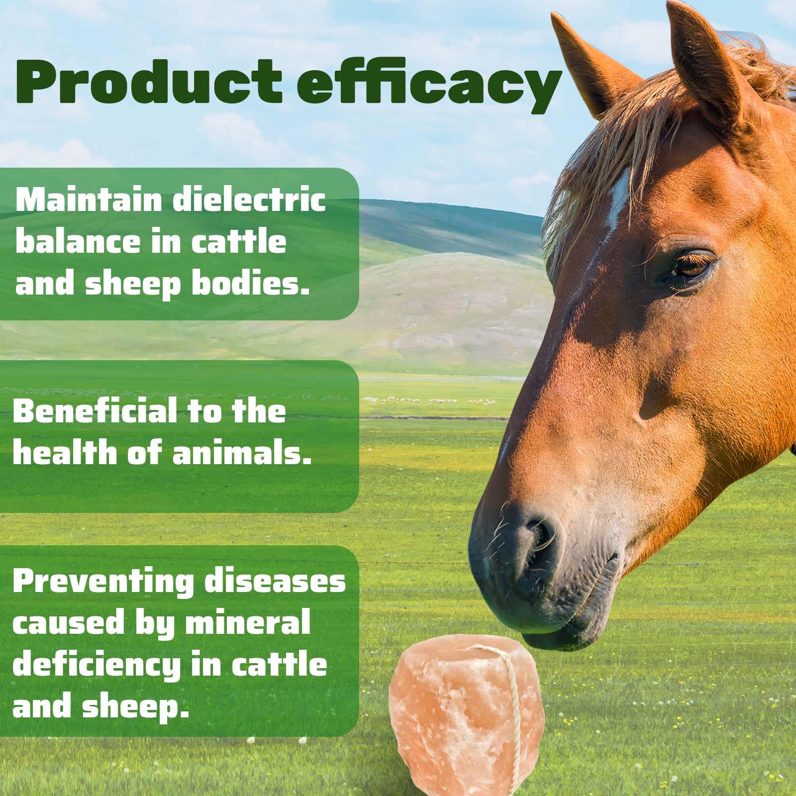 Blocco di Sale dell'Himalaya per Cavalli 1.7kg, Sali Minerali Naturali per Cavallo, Bovini, Caprini, Cervo