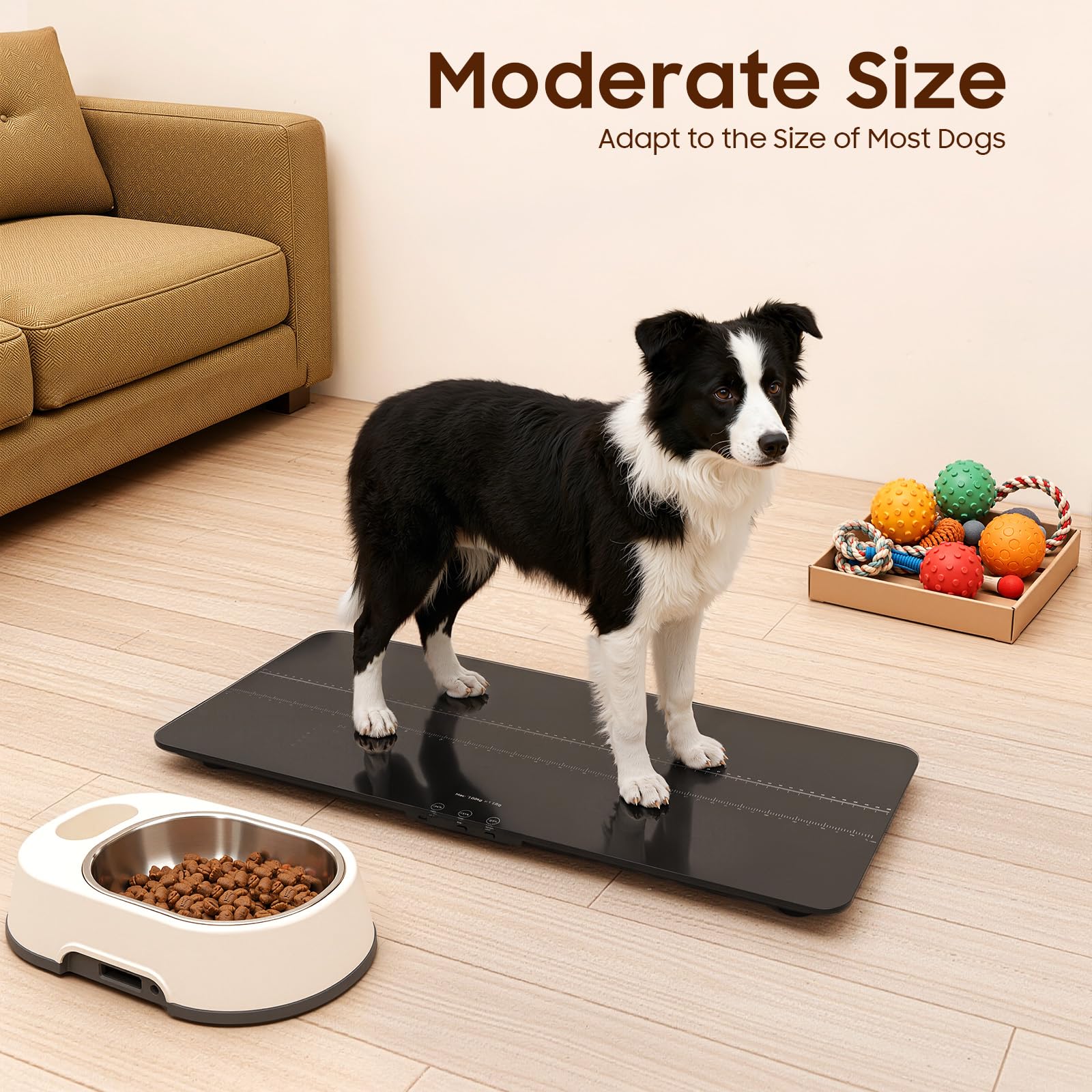 Bilancia cane Pet Scale Bilancia Animale Bilancia Peso Cane Casa Vet Salone Animale Misura Precisa 10g Display LED Funzione Tare Conversione Kg Lb St Surface Vetro ABS Antiscivolo Uso Domestico