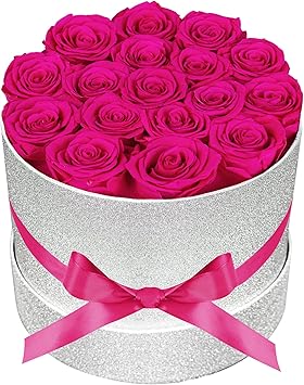 17 Hot Pink Flowers in Glitter Box, Birthday Gifts for Women, Preserved Flowers, Mothers Day Roses Gift for Mom