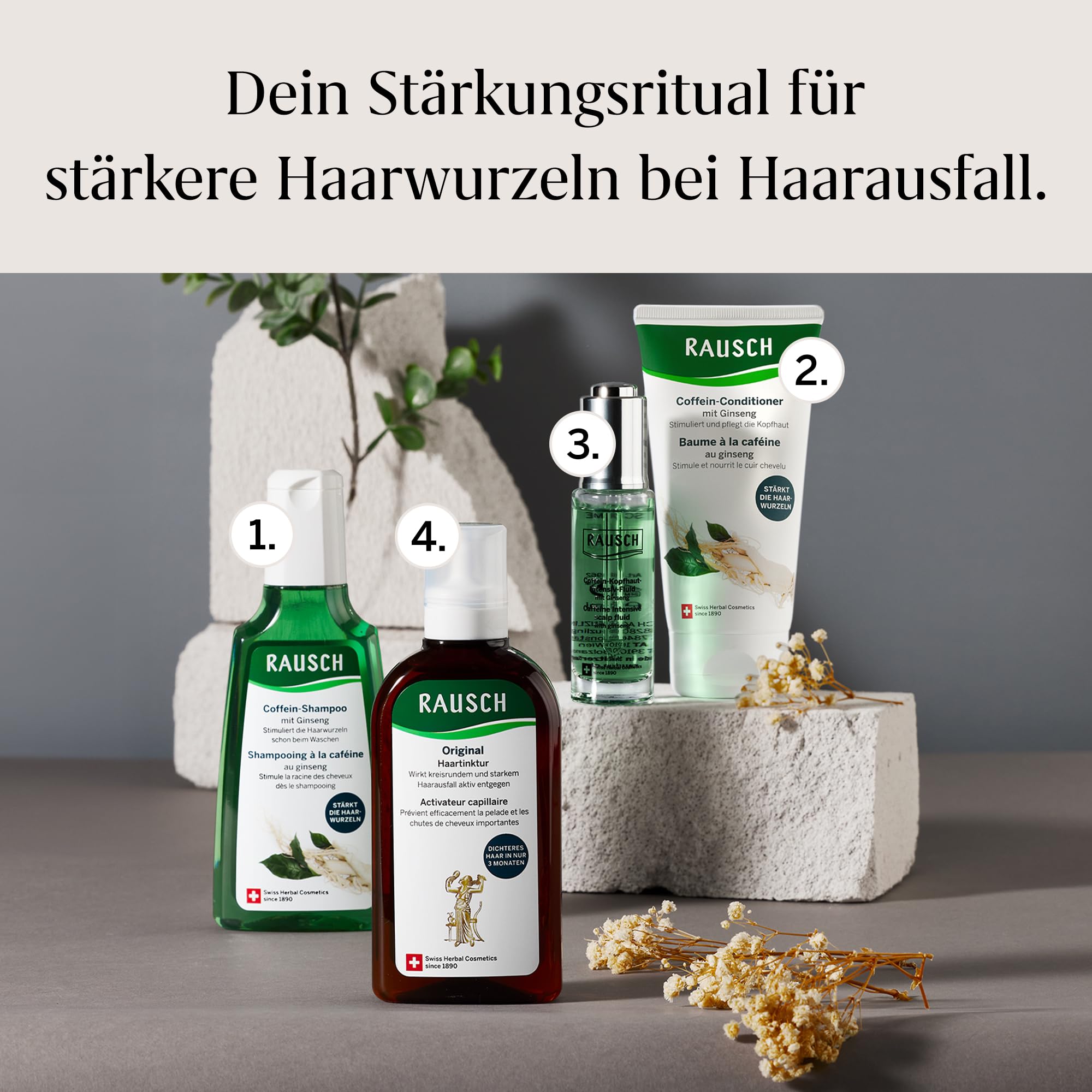 RAUSCH Original Haartinktur 200 ml – Tinktur bei Haarausfall – vegan & silikonfrei, hergestellt in der Schweiz mit Klettenwurzel-Extrakt & ätherischen Ölen