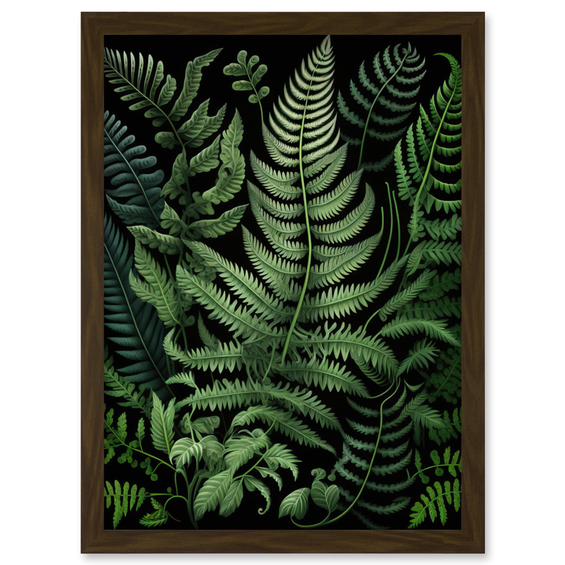 Artery8 Fern Fronds Illustration Ernst Haeckel Style Artwork Framed Wall Art Print A4