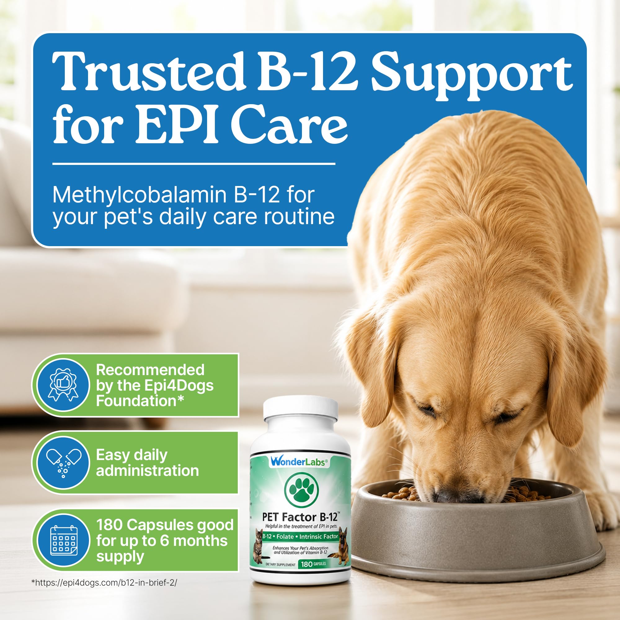 Wonder Laboratories Vitamin B12 - Methylcobalamin Dog Supplement, 180 Caps — Amazon image 2