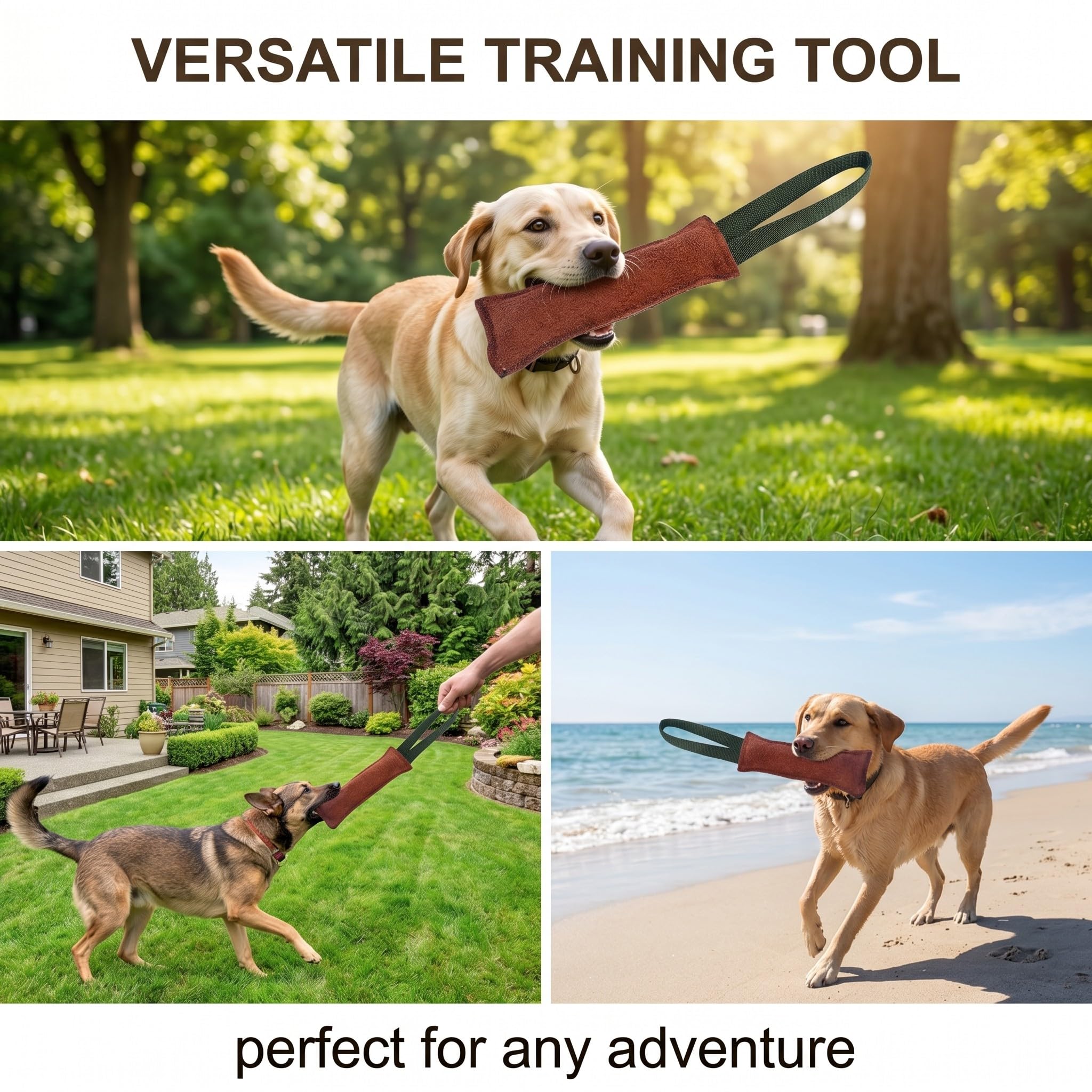 Agility Bite Tug per Cane, 1 pezzi, Divertimento per Cani, Tiro alla fune per cani, Bastone interattivo da masticare per addestramento cani