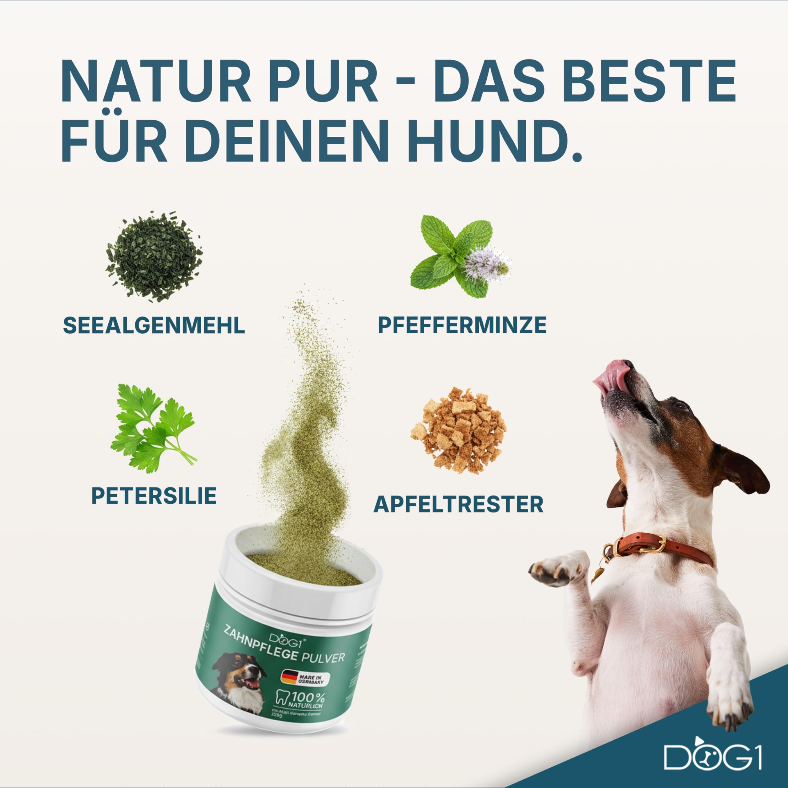 dog1® Zahnpflege Pulver für Hunde – Made IN Germany - Natürliches Mittel gegen Mundgeruch & Zahnstein - Zahnpflege Hund - Zahnputzflocken mit Zahnsteinentferner – Von Tierärzten entwickelt - 200 g