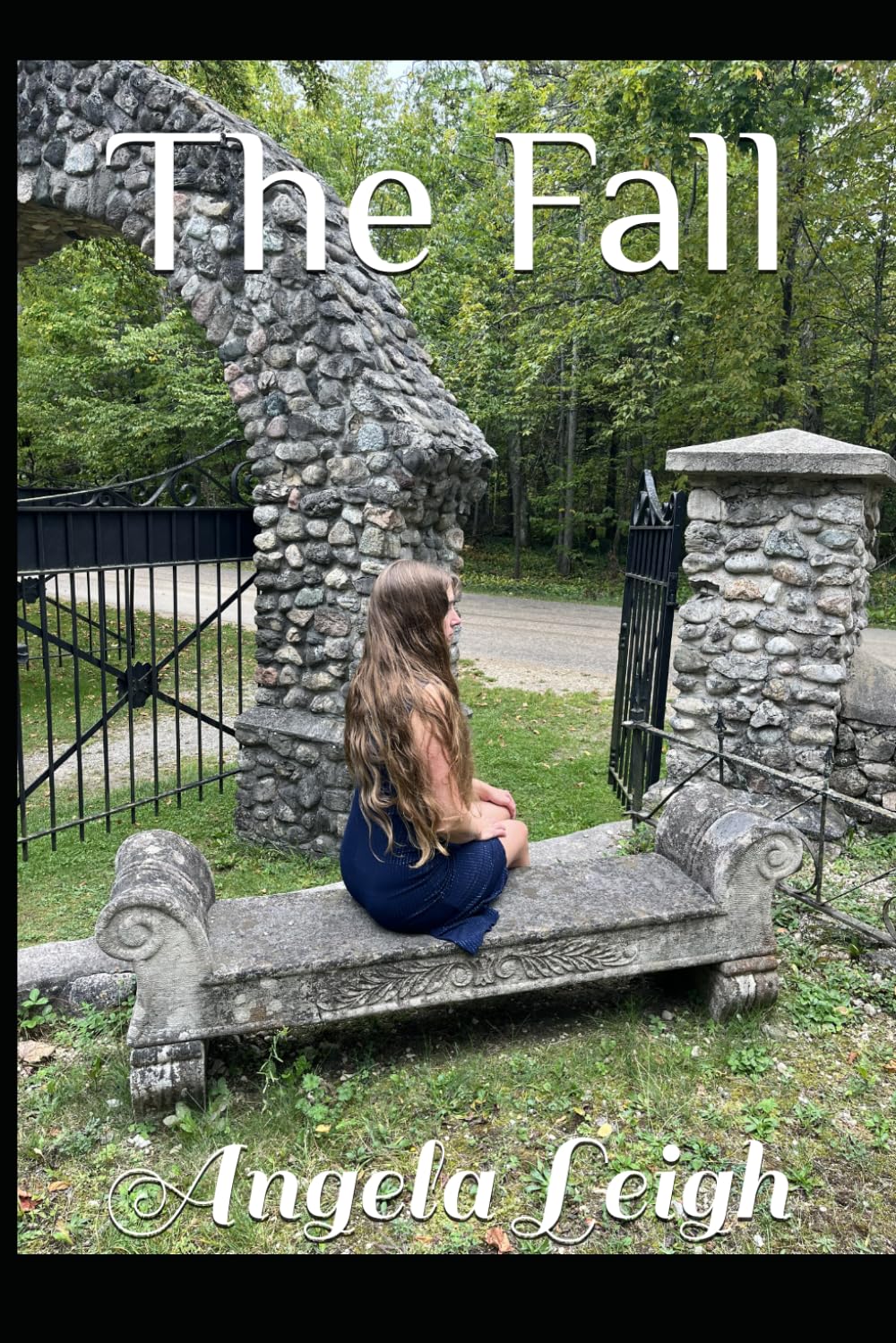 The Fall (The Chameleon Saga)