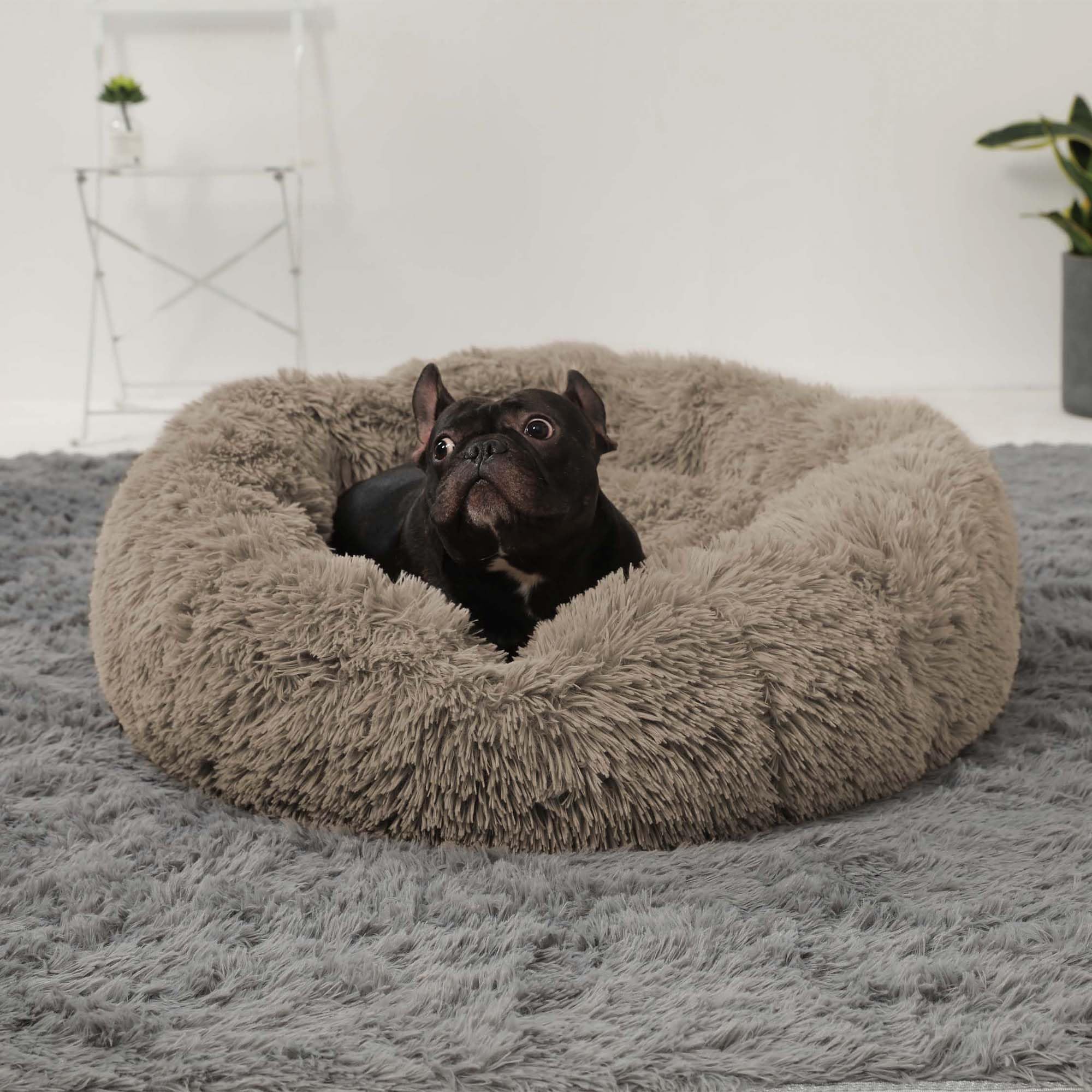 HACHIKITTY Calming Donut, Cuccia per cani, rotonda, soffice, con cuscino cucito, per cani di taglia grande, lavabile, grande, grigio talpa, 58 cm