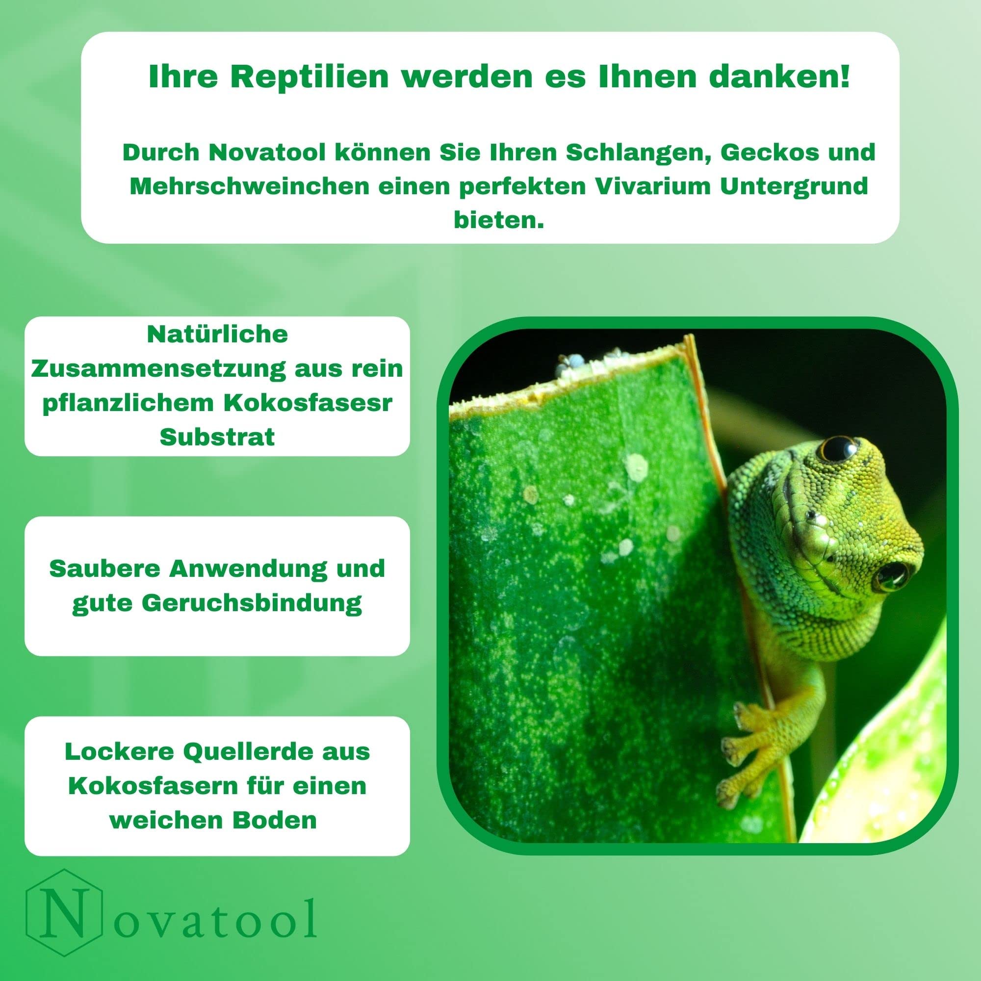 6X Novatool Terrarium Ziegel | 650g 20x5,5x10 | Substrat Kokos Einstreu | 30 Liter | Aquaristik | Kaninchen Mehrschweinchen Hamster Streu Cocos Humus Schildkröten-Erde Beet-Erde für Reptilien Humus