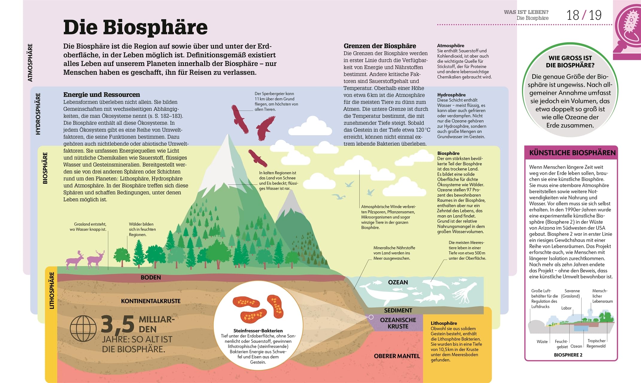 #dkinfografik. Biologie einfach erklärt: Genetik, Evolution, Ökologie. Leicht verständliche und visuell aufbereitete Einführung in die Biologie