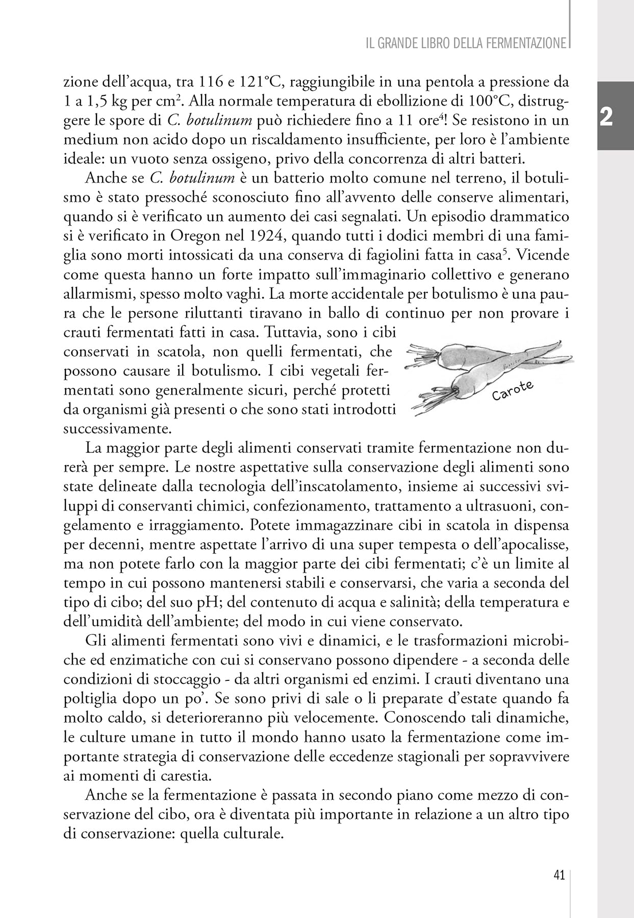 Il grande libro della fermentazione. La bibbia della fermentazione casalinga, da tutto il mondo, a impatto zero